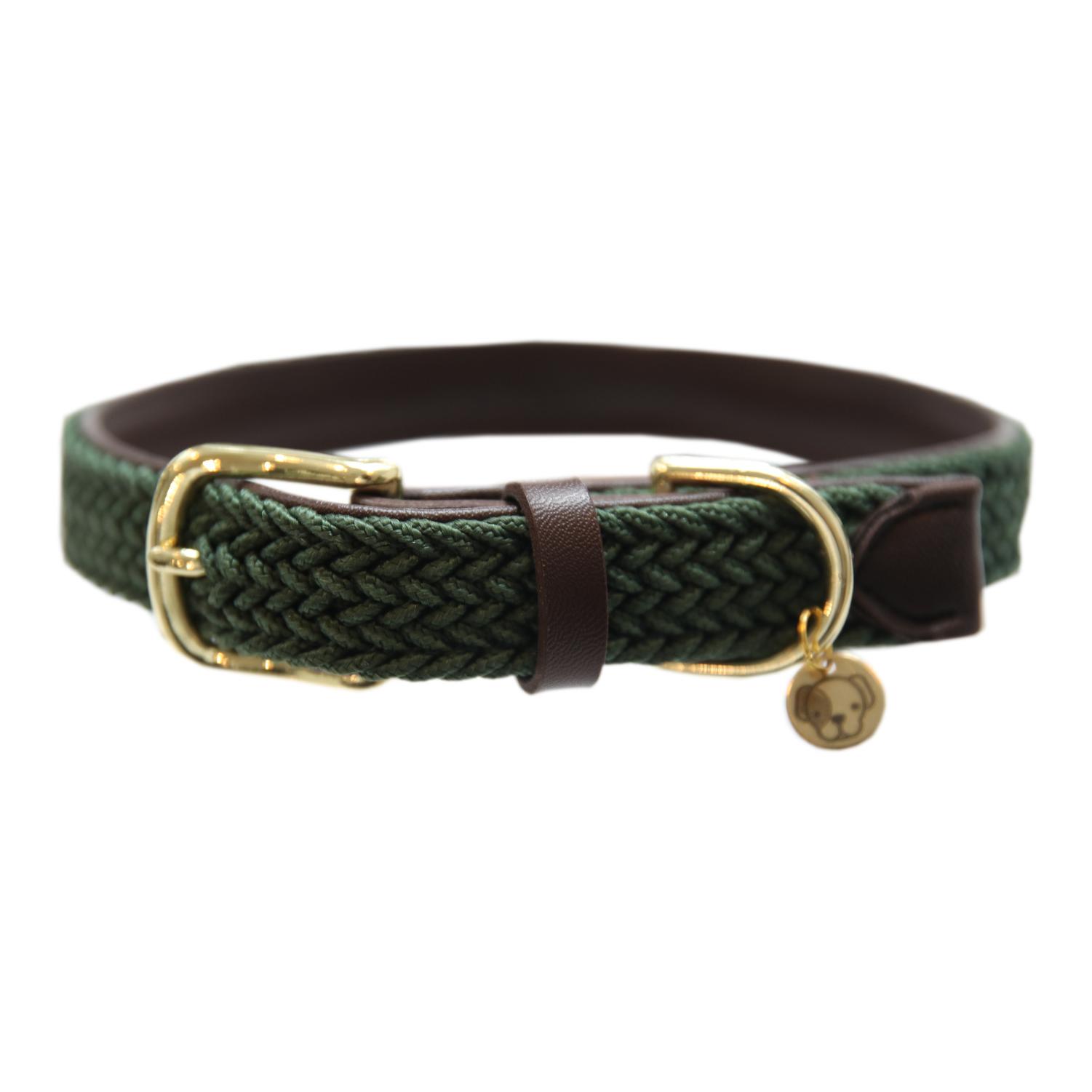 Kentucky Dogwear Collier pour chien en nylon tressé - vert olive