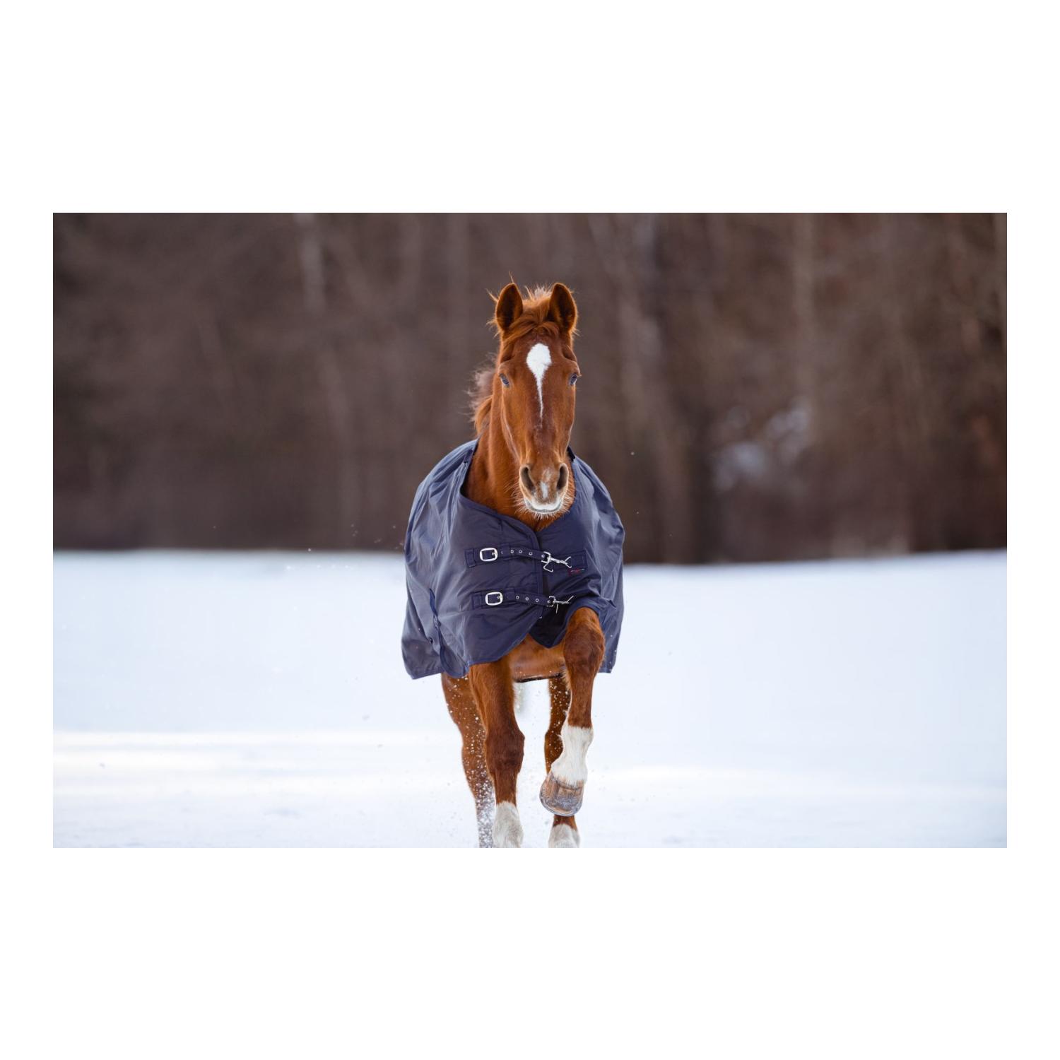 RugBe Couverture de cheval d'extérieur RugBe 50 g