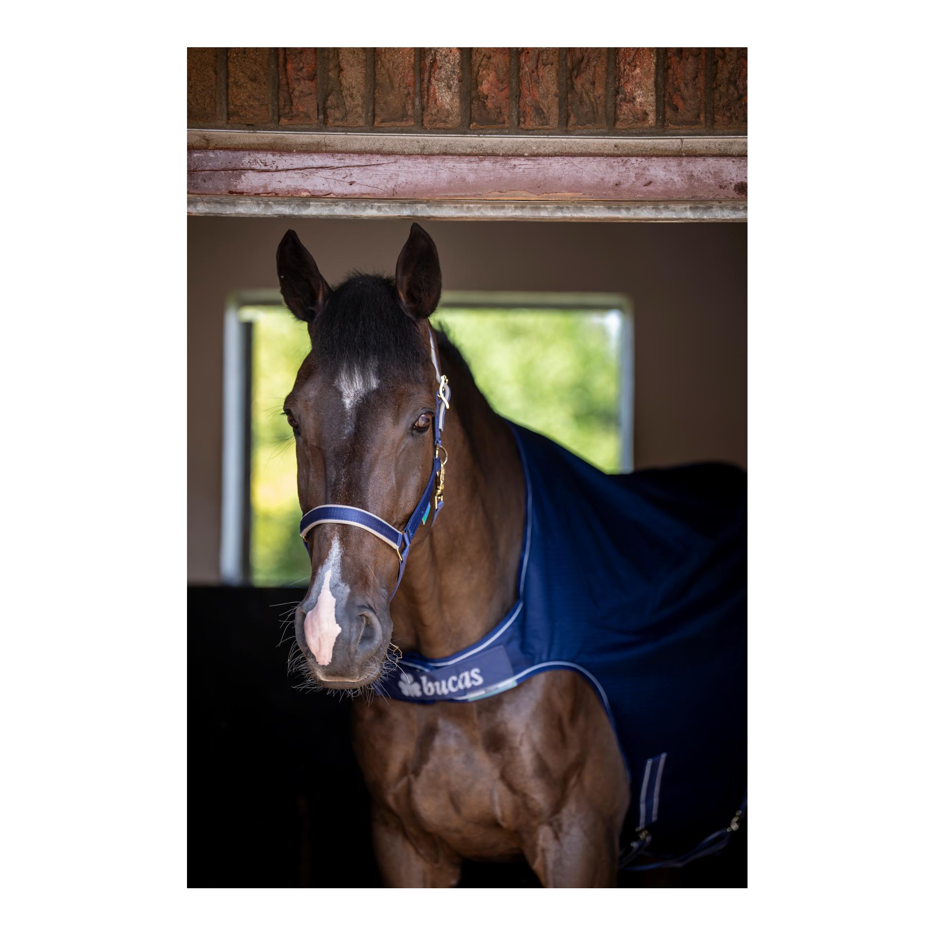 Bucas Walkerdecke - navy