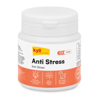 Kyli Anti Stress Cubes Natur