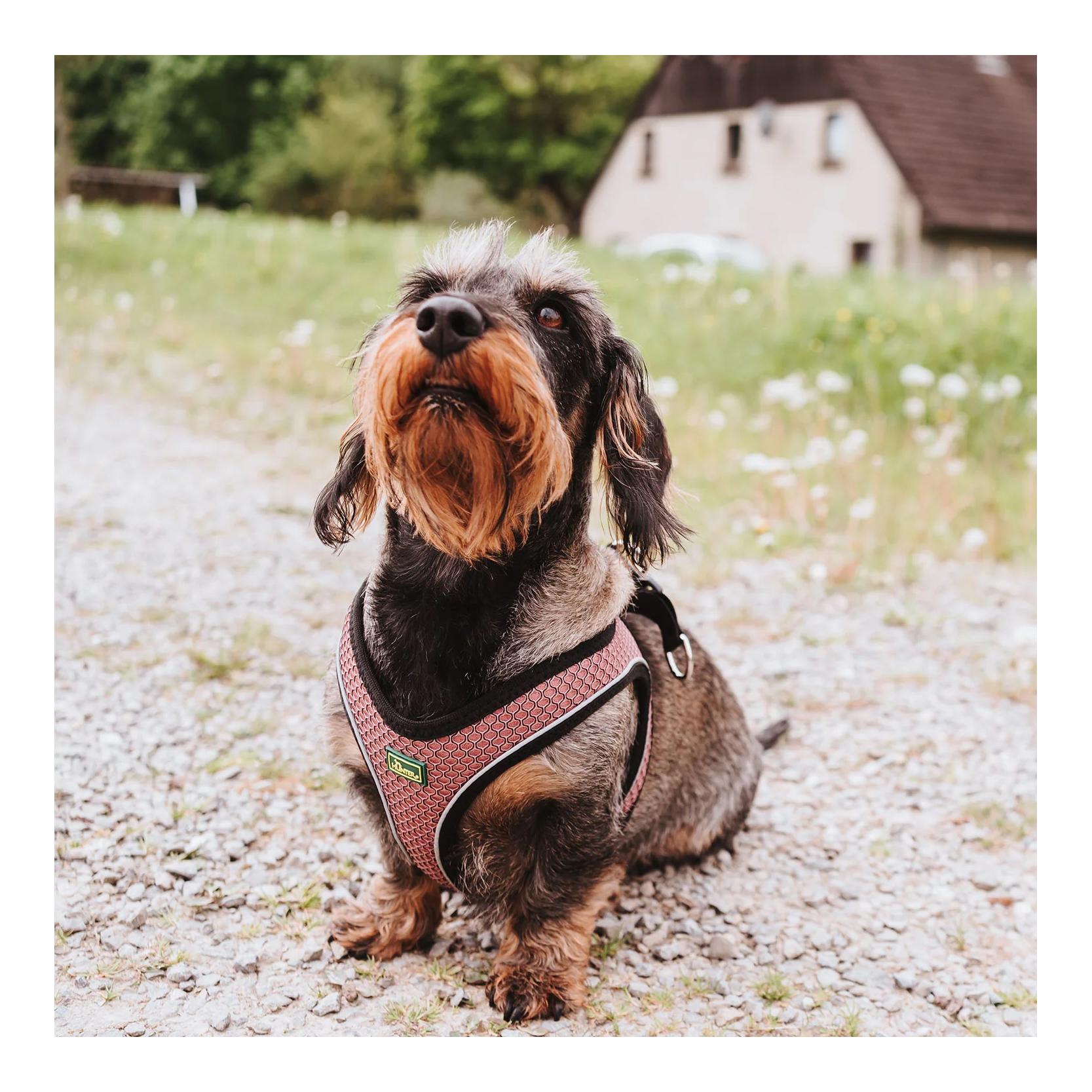Hunter Harnais pour chien Hilo Comfort