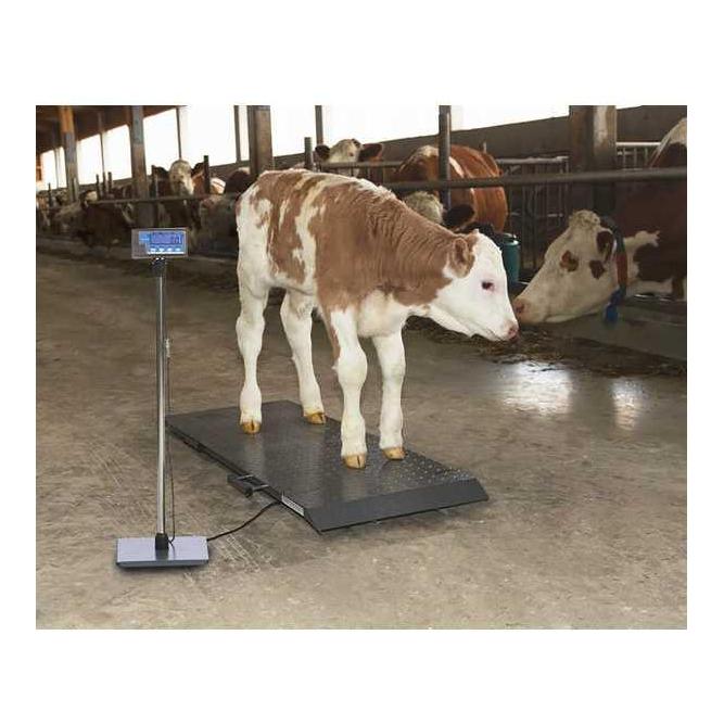 Kerbl PS Balance pour animaux