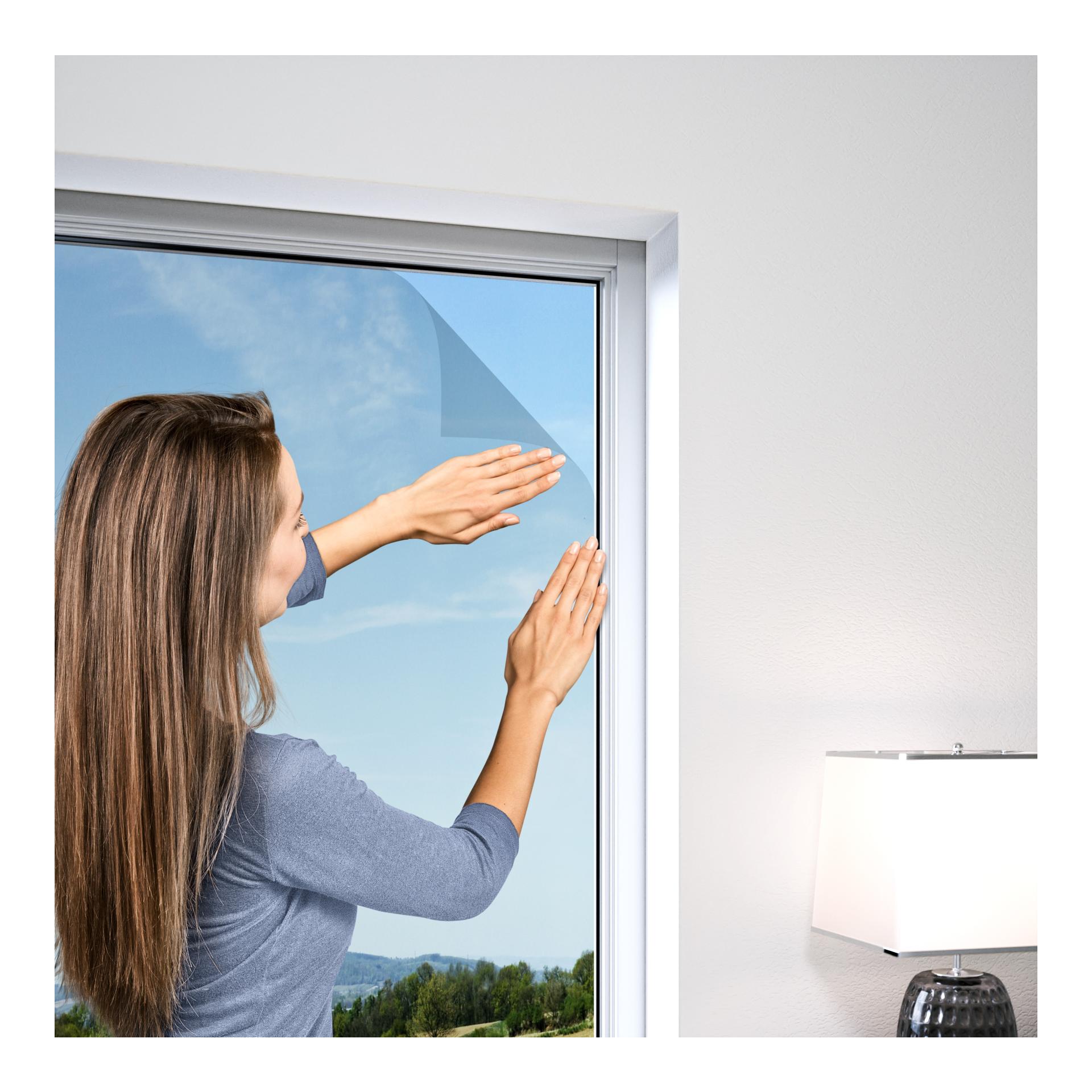 Windhager Moustiquaire IS pour fenêtre- anthracite