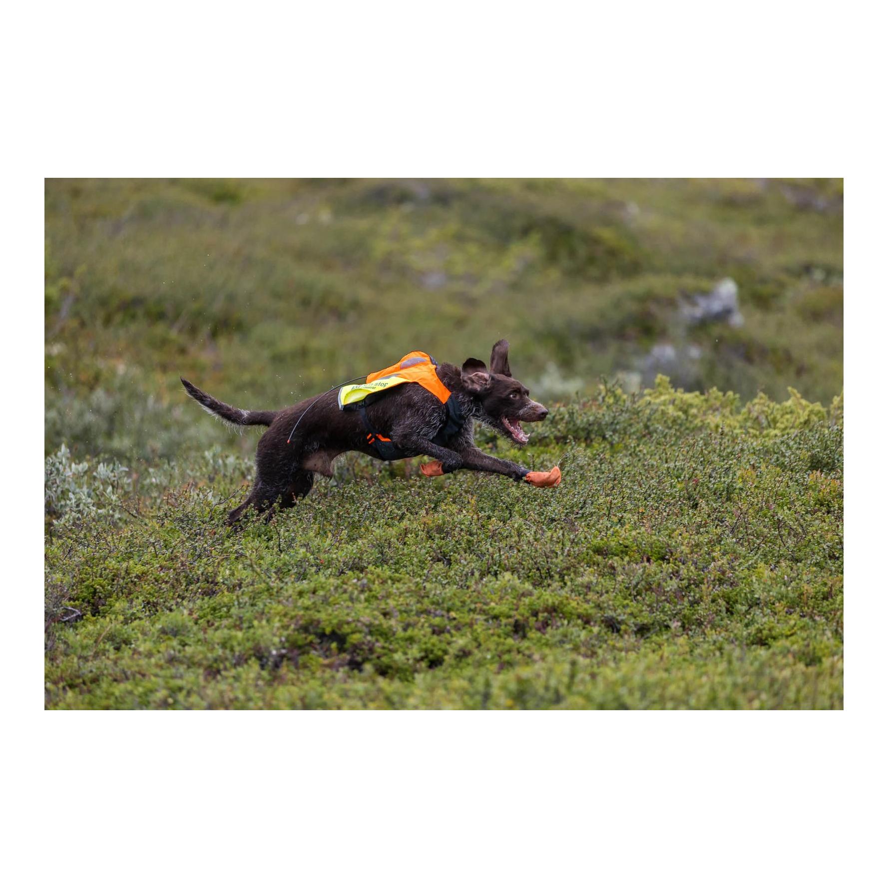 Non-stop Dogwear Gilet de protection GPS 2.0