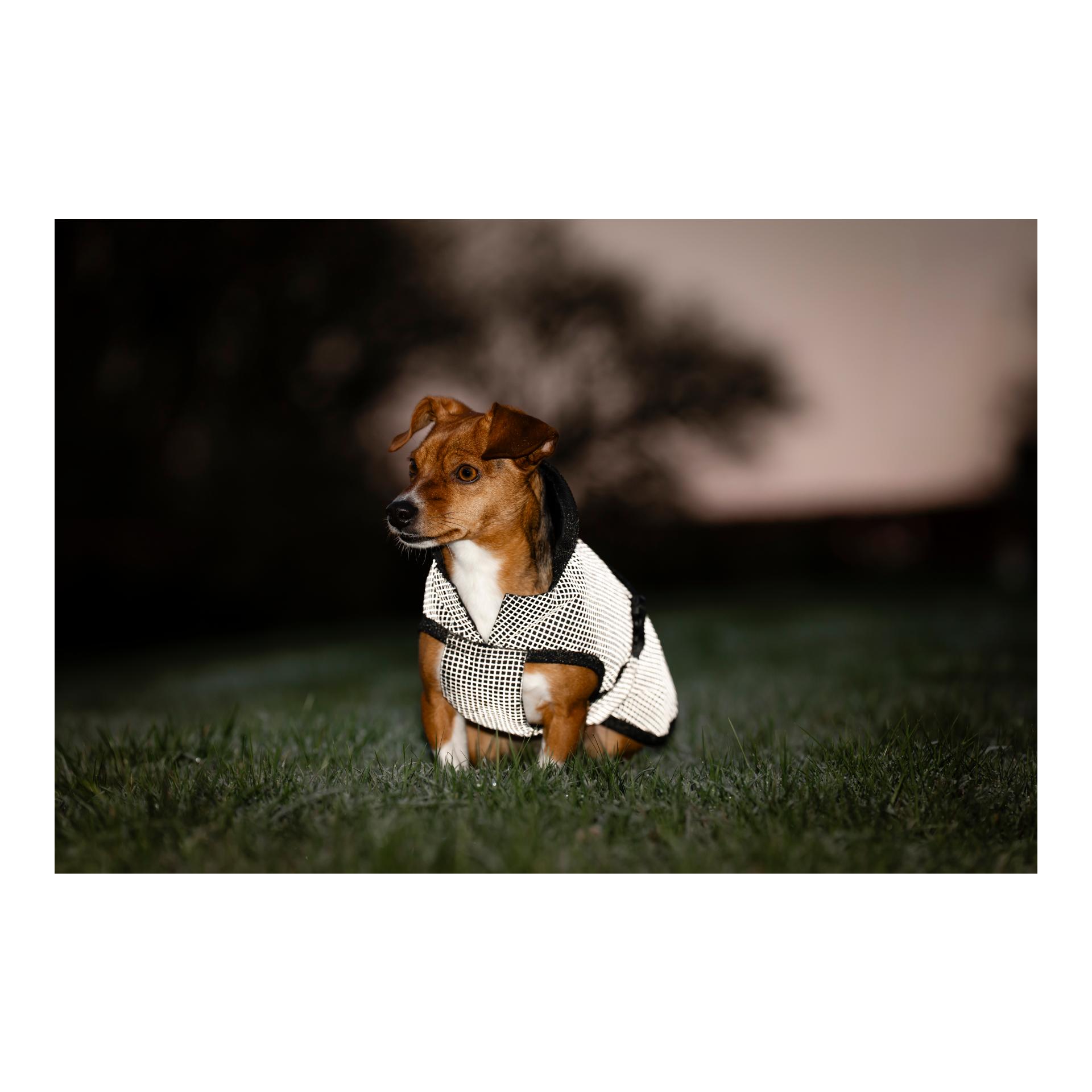 Bucas Manteau pour chien Reflectglow
