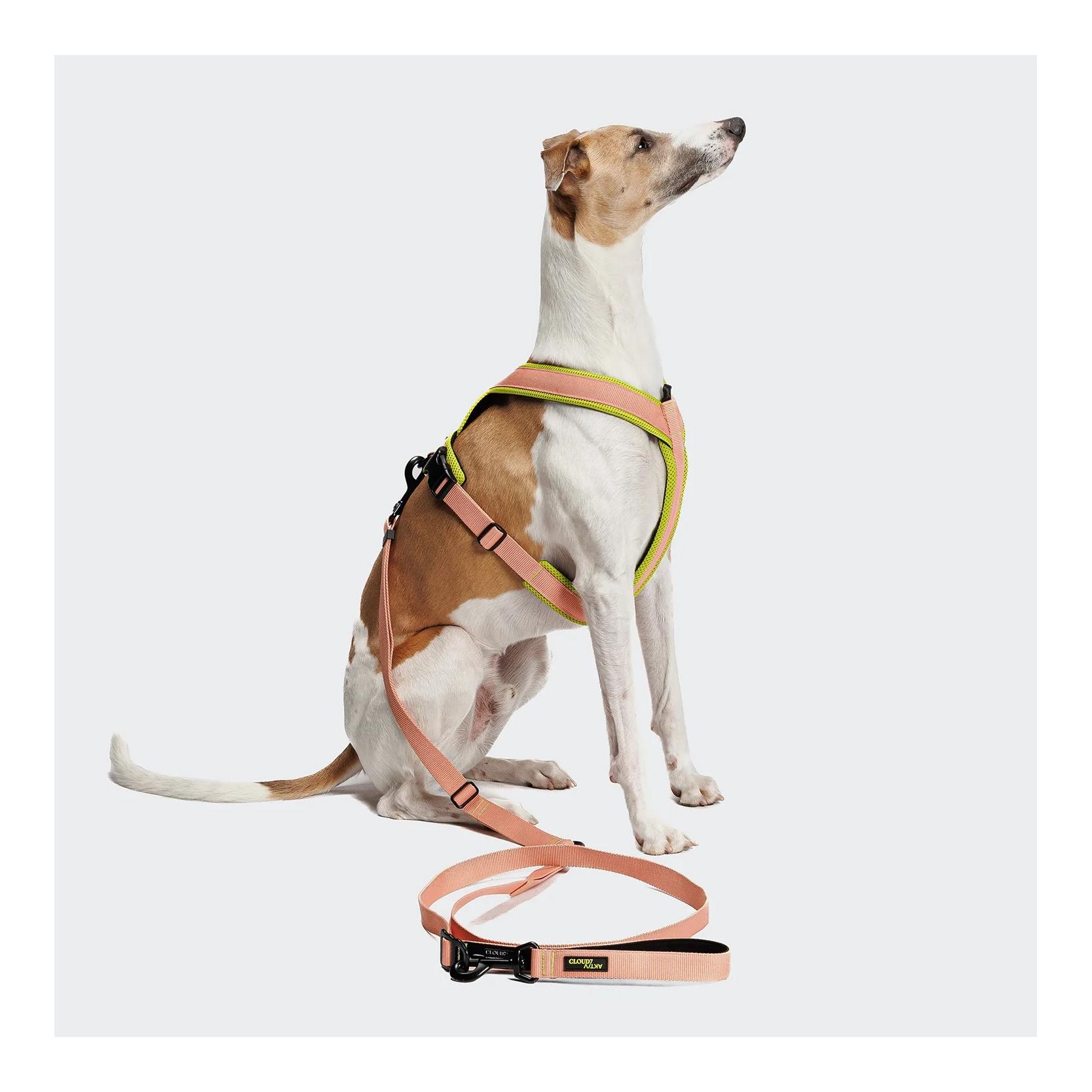 Cloud 7 L-1-Freihandleine