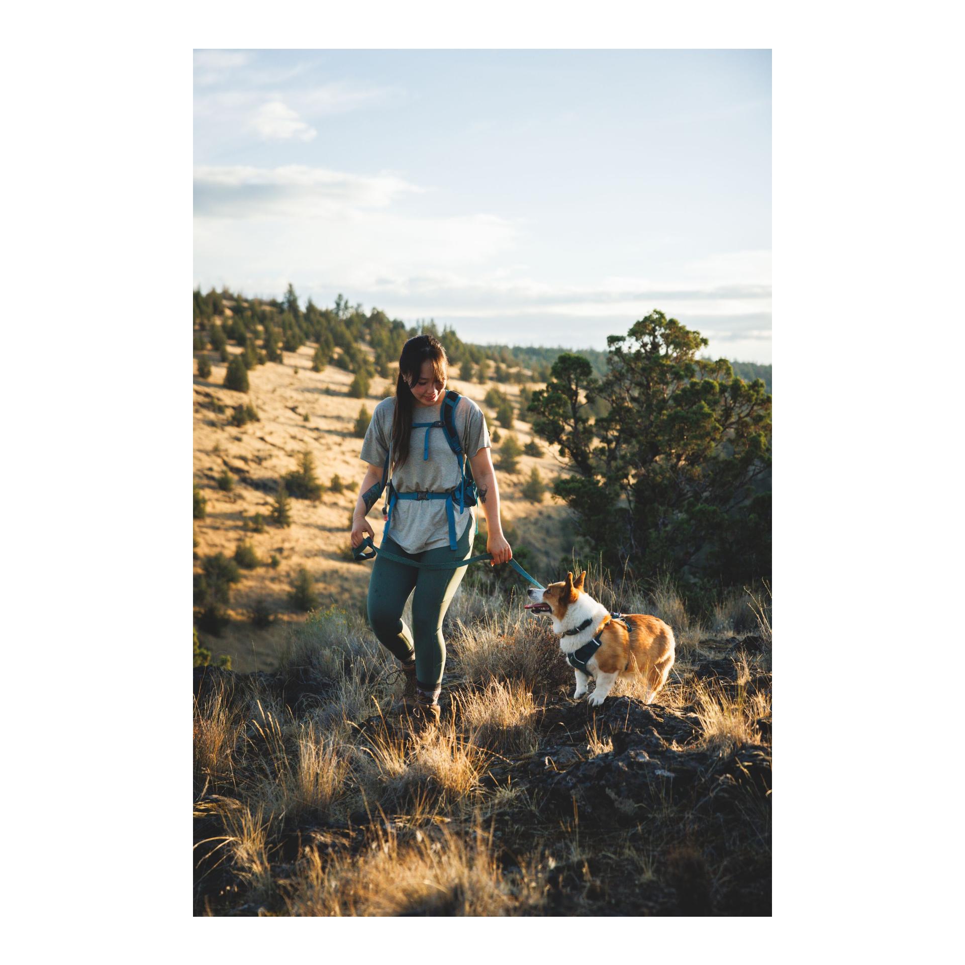 Ruffwear Collier pour chien Front Range™ Flex