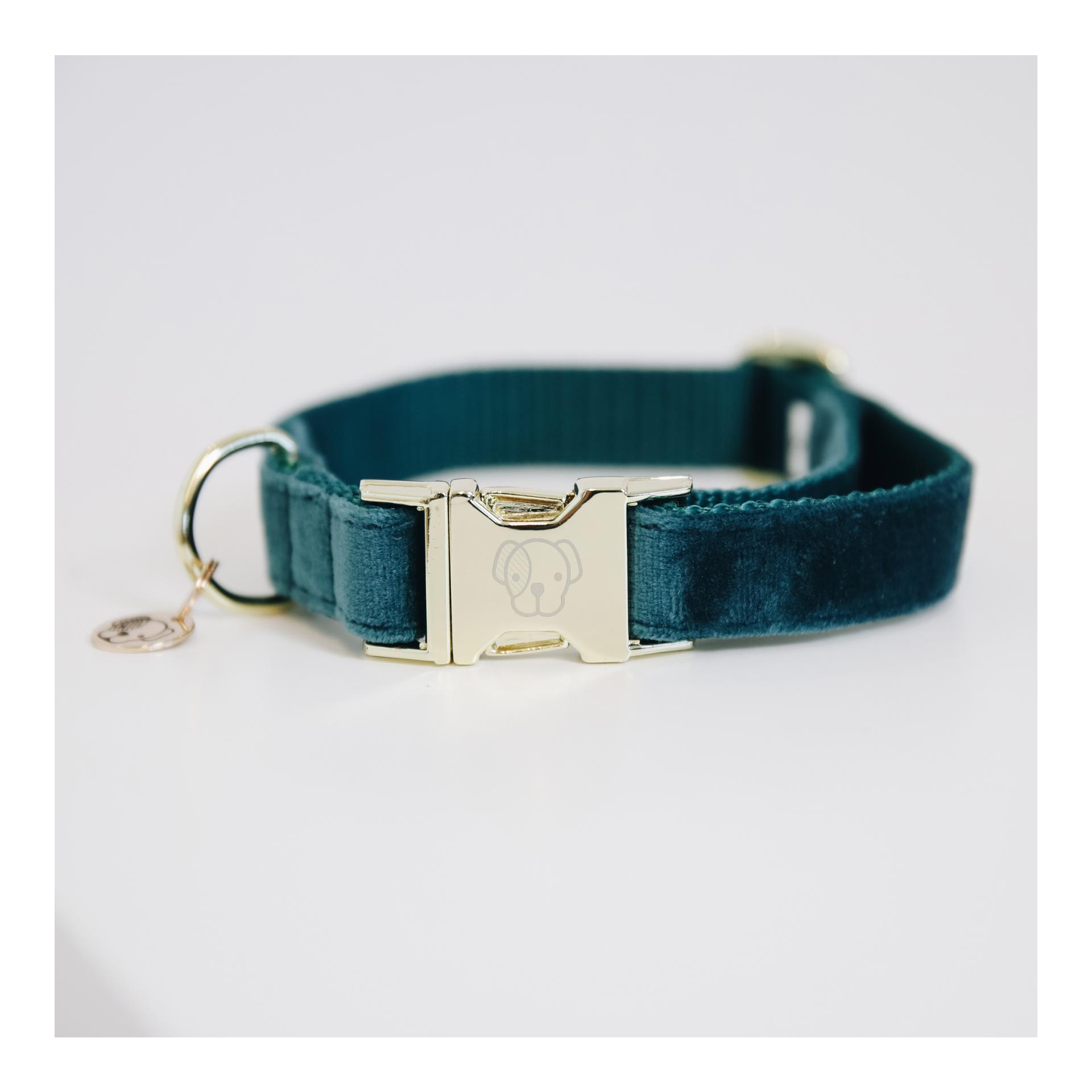 Kentucky Dogwear Collier pour chien Velvet - émeraude