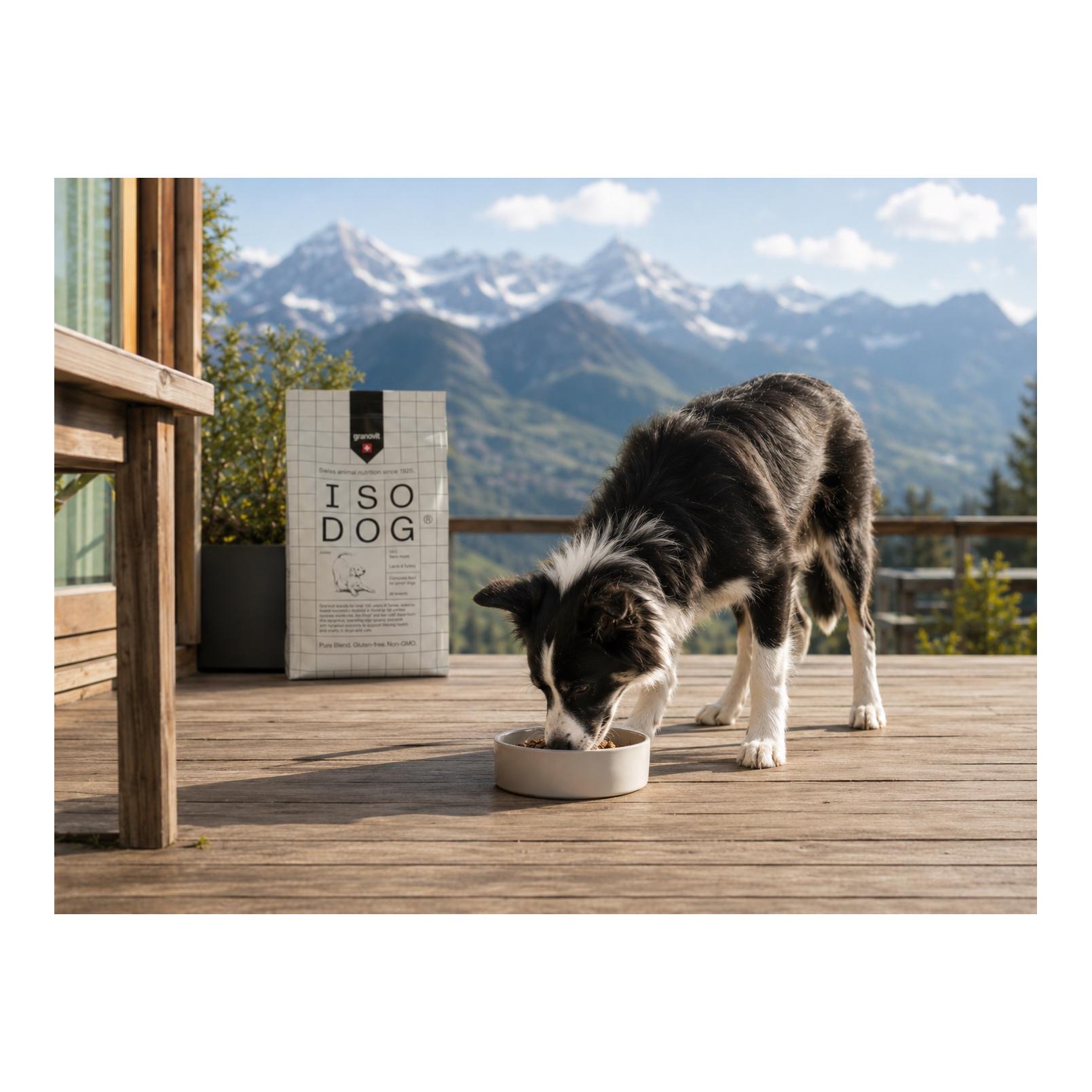 Iso-Dog Junior Halbfeucht Lamm & Truthahn