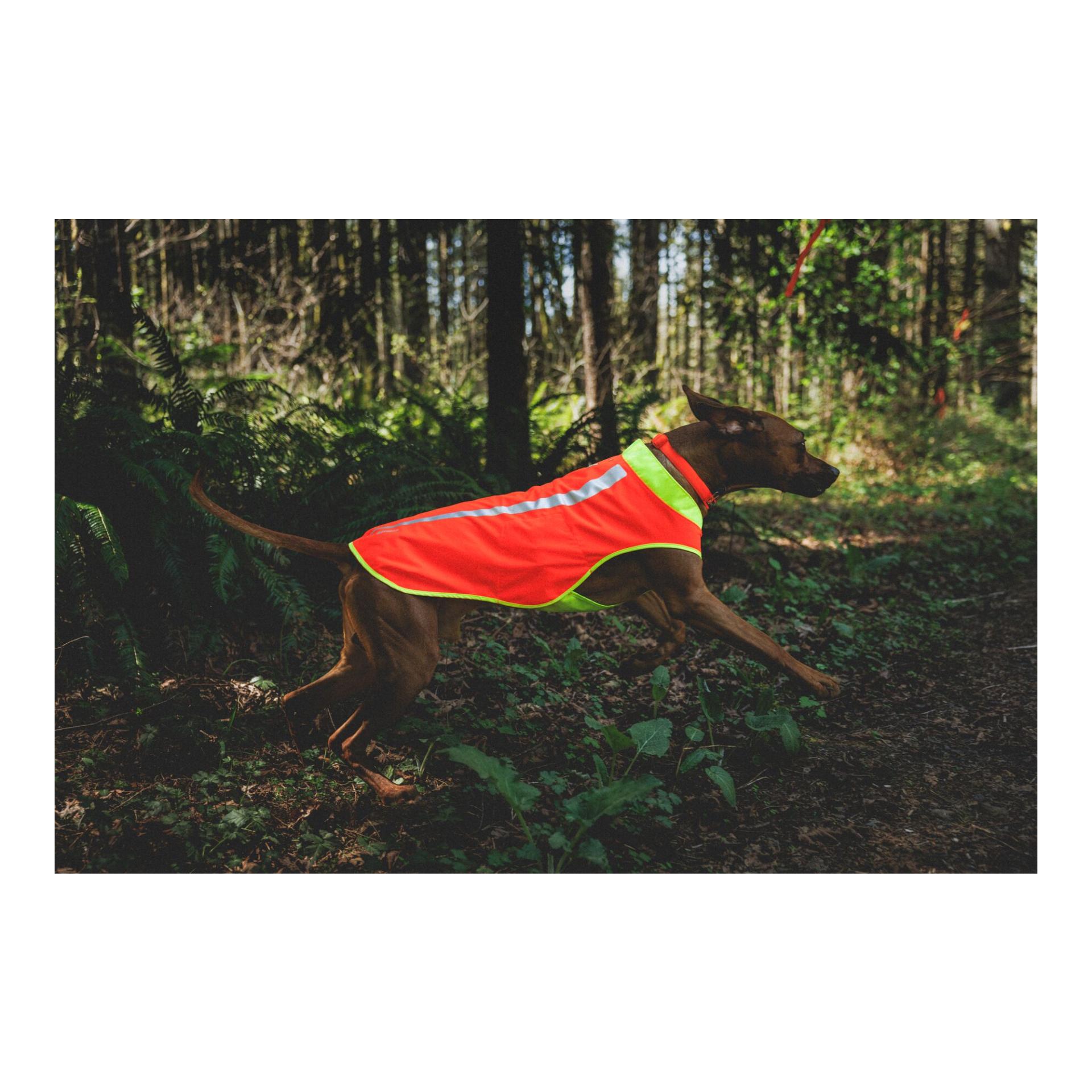 Ruffwear Lumenglow™ High-Vis Hundeweste