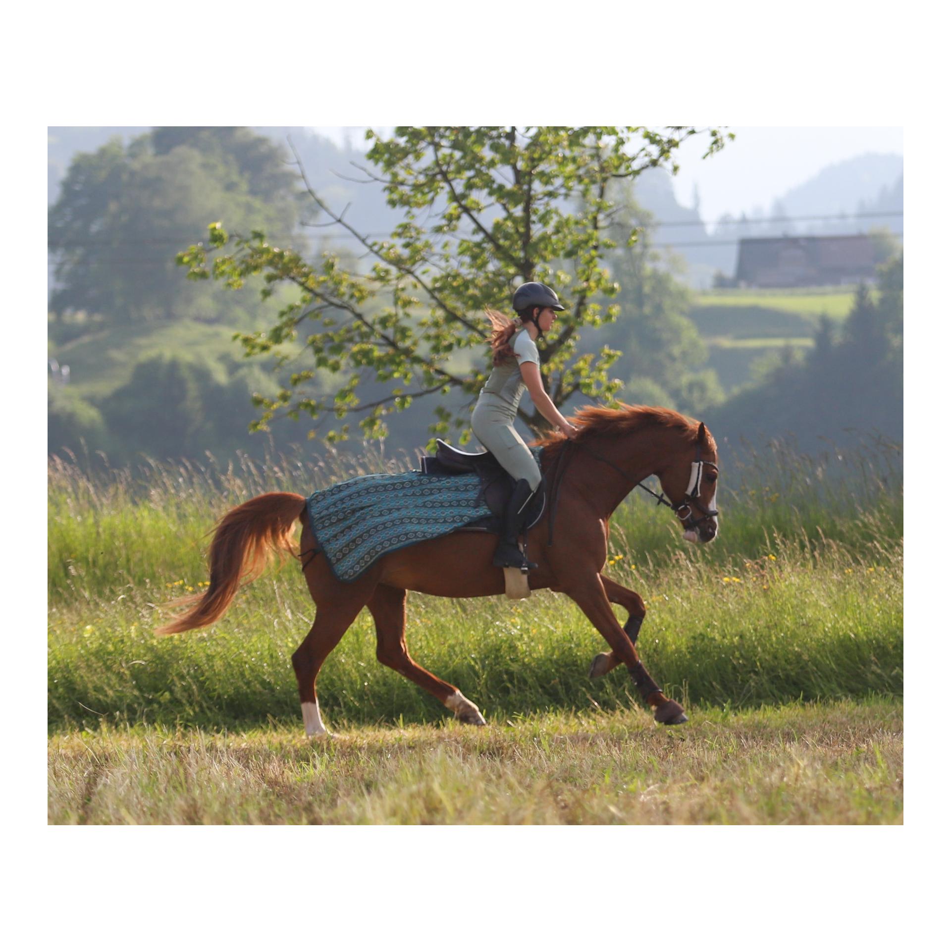 Stallone Couvre-reins anti-mouches Summer Stroll