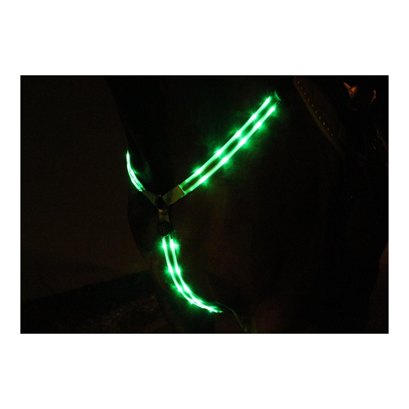 Animal Light LED Leuchtvorgeschirr 2.0