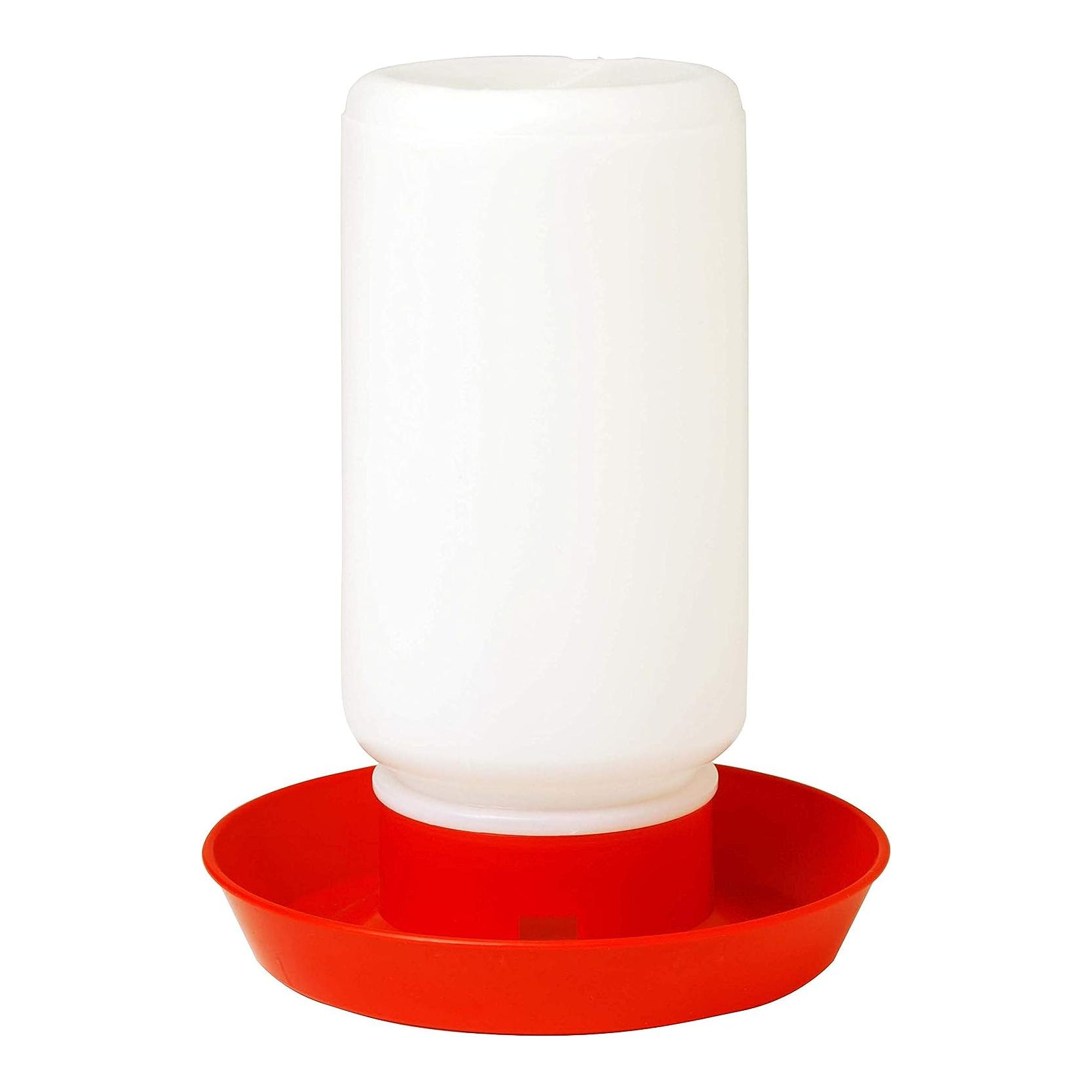 Little Giant Abreuvoir pour poussins