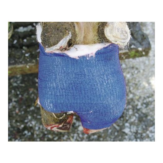 Kerbl Bandage pour onglons VETlastic - bleu