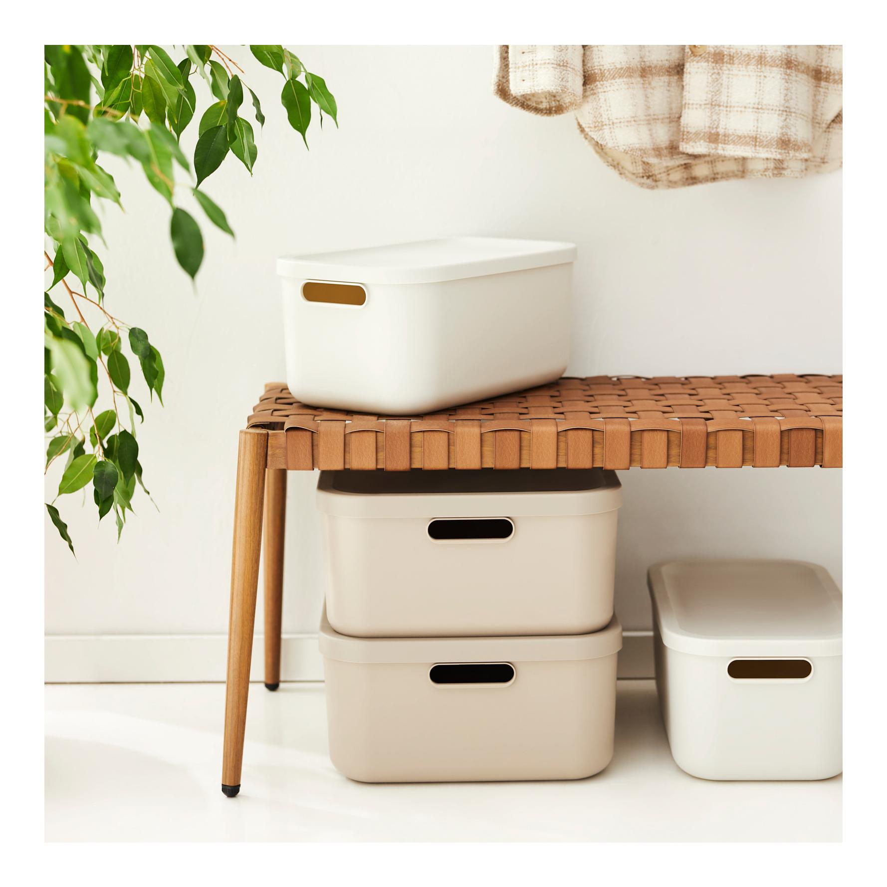 Rotho ALBULA LIGHT 20 litres
