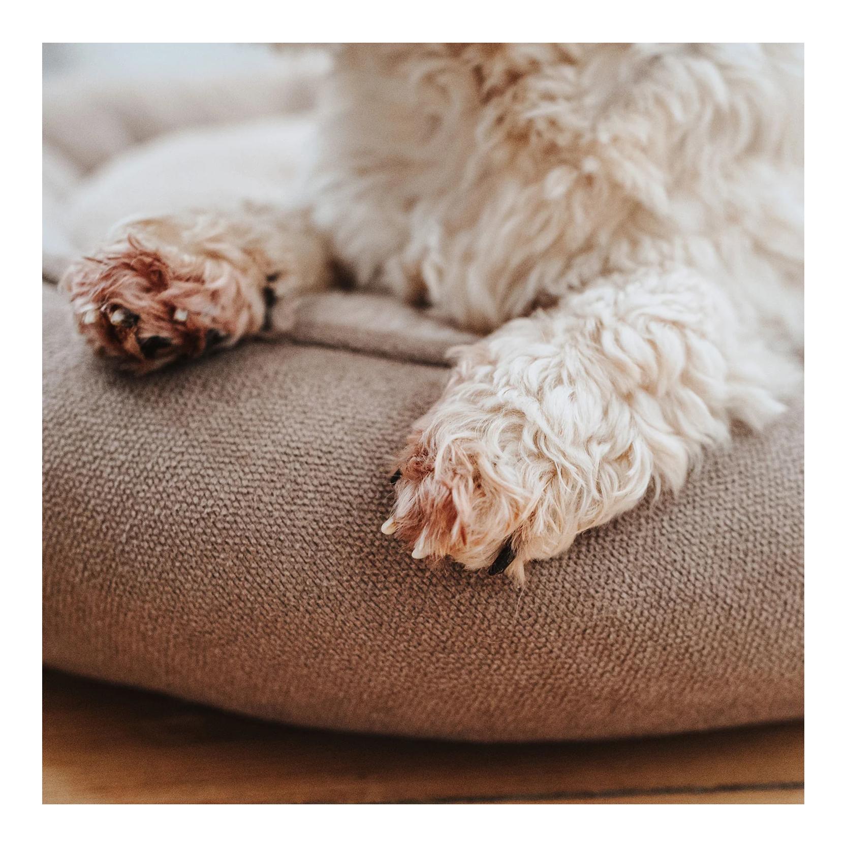 Hunter Doigt de chien Rockford