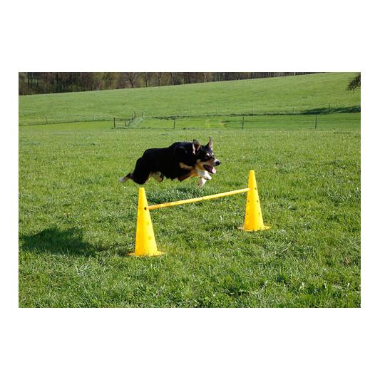 Kerbl Pet Ensemble de cônes et d'obstacles Agility