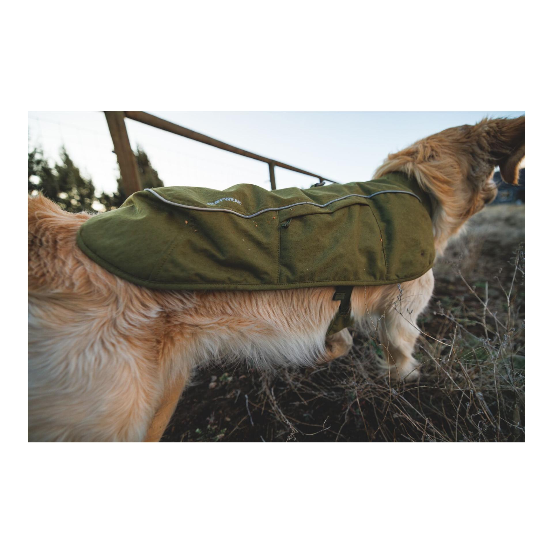 Ruffwear Gilet matelassé pour chien Overcoat Fuse™