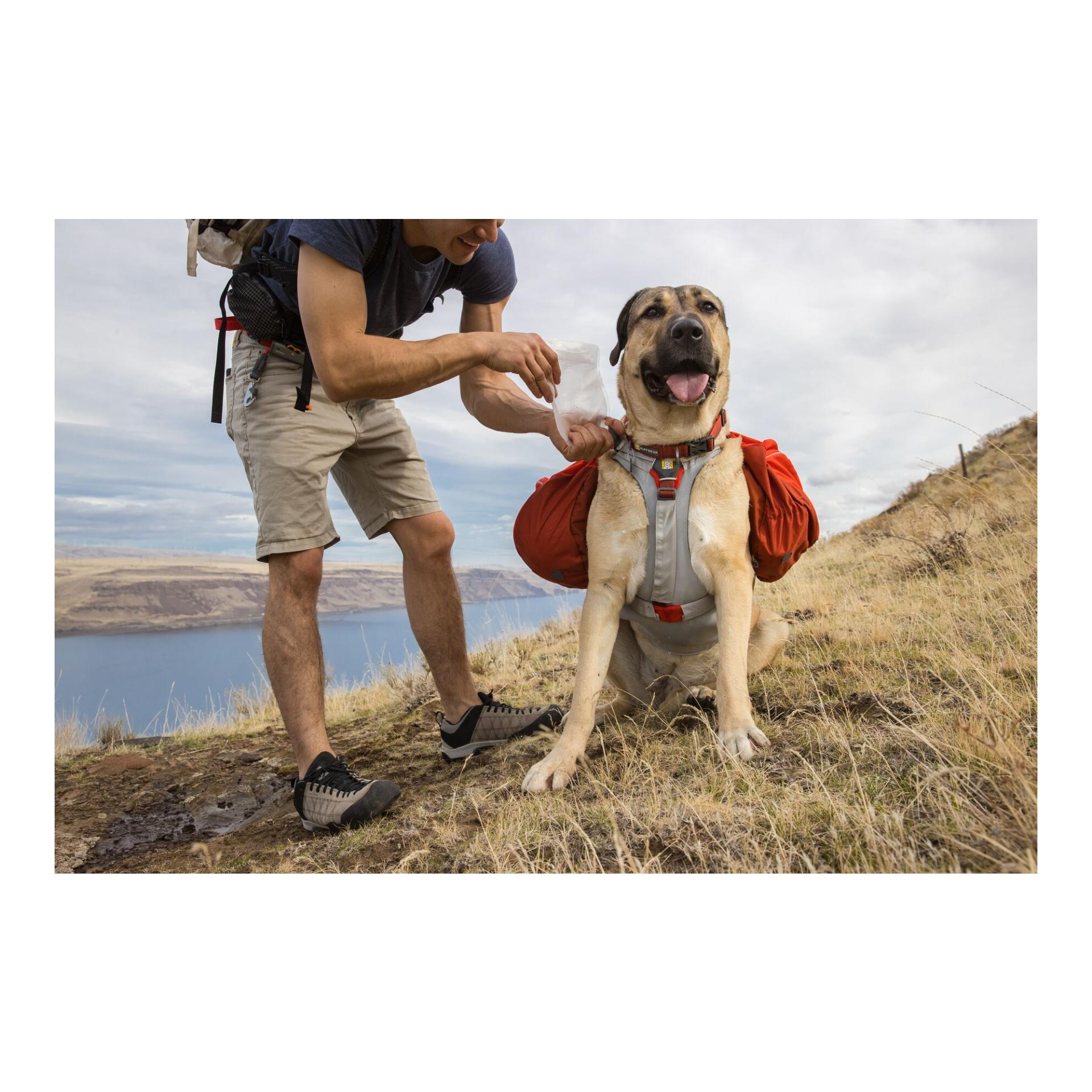 Ruffwear Produit complémentaire Swamp Cooler Core™