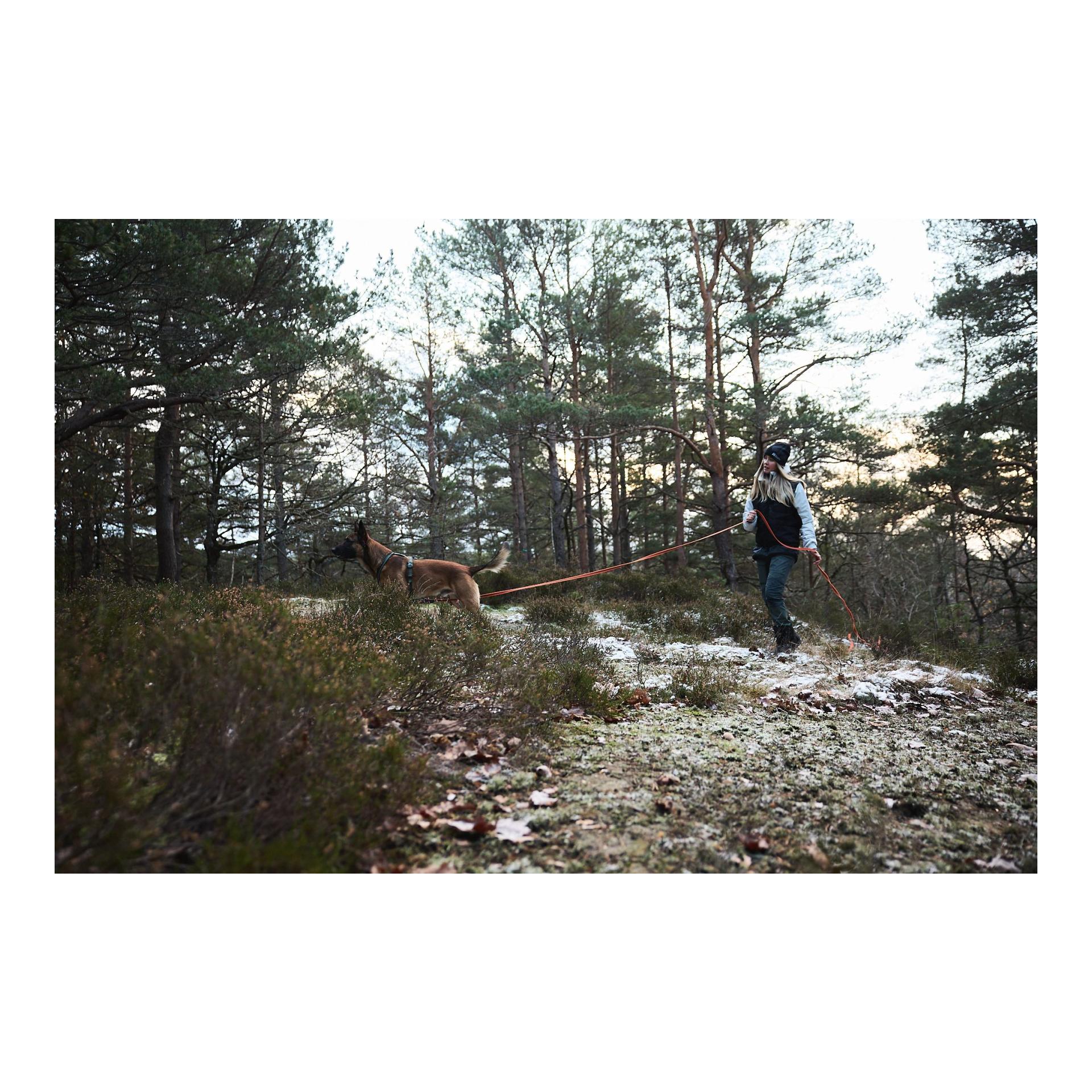 Non-stop Dogwear Friction Long Line Laisse à pister