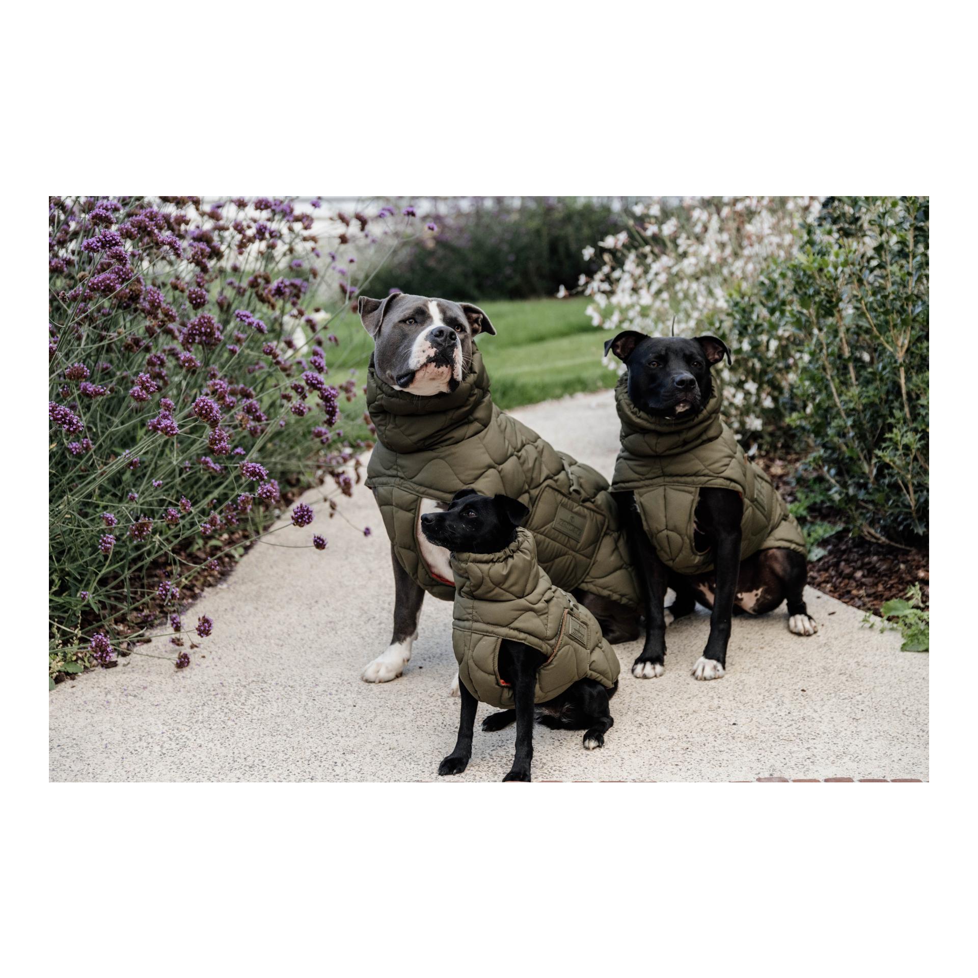 Kentucky Dogwear Hundemantel Pina - 160g