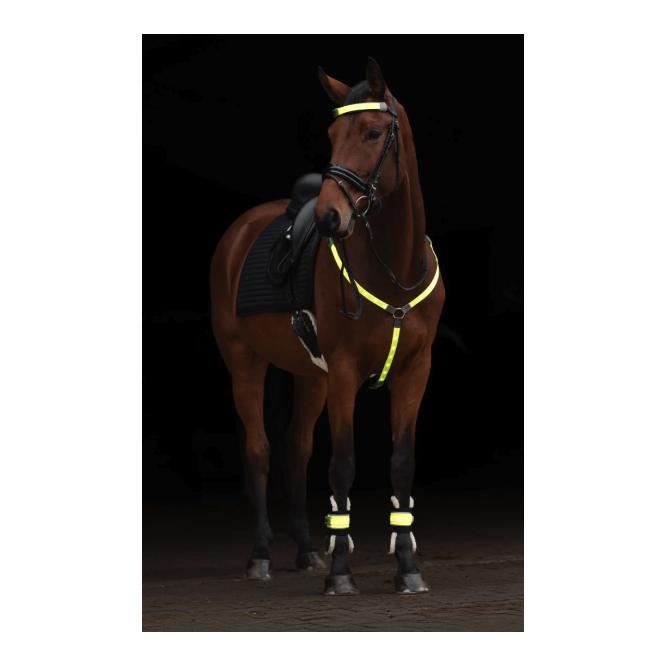 Covalliero Leuchtgamasche LED, paarweise