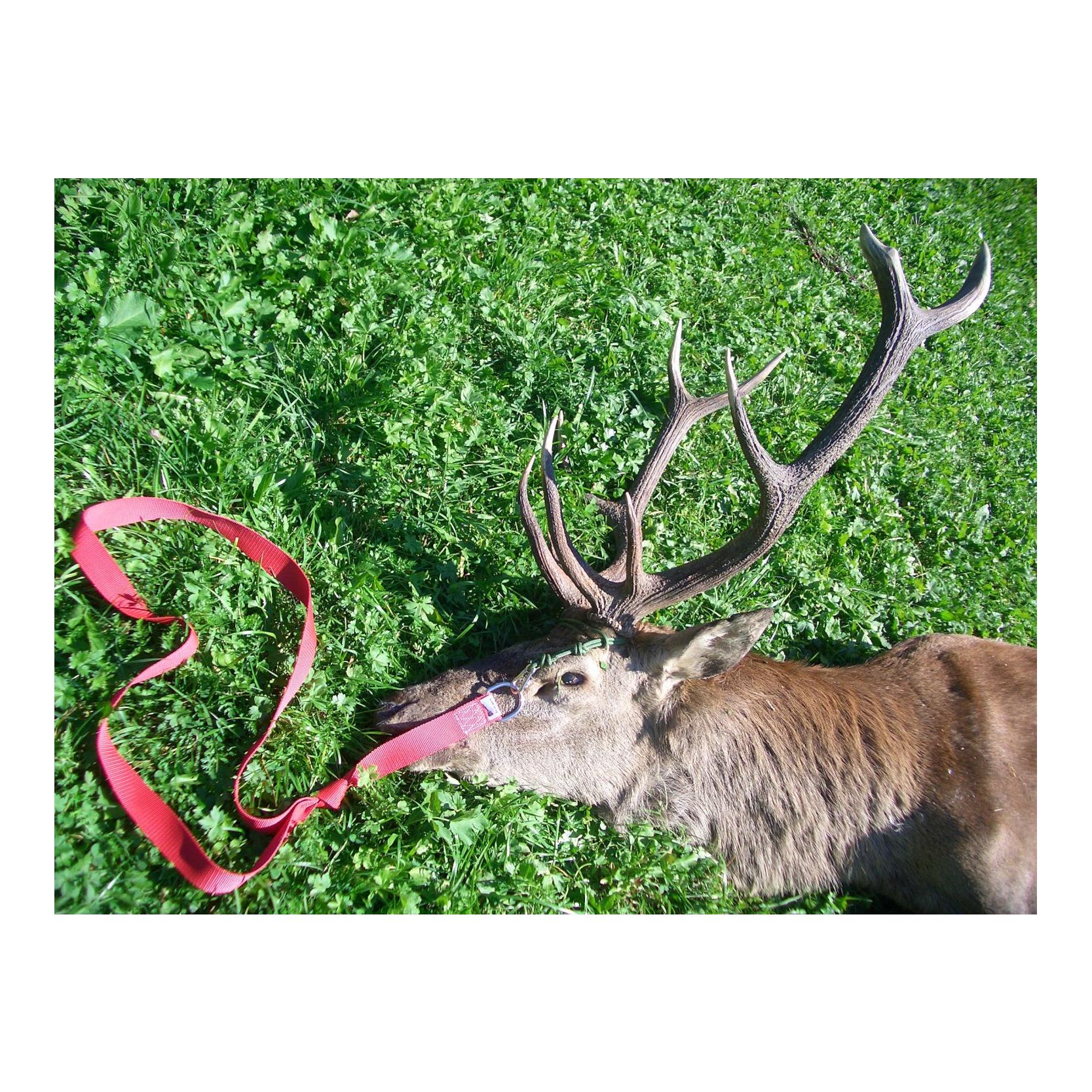 EUROHUNT Tire-gibier Cerf
