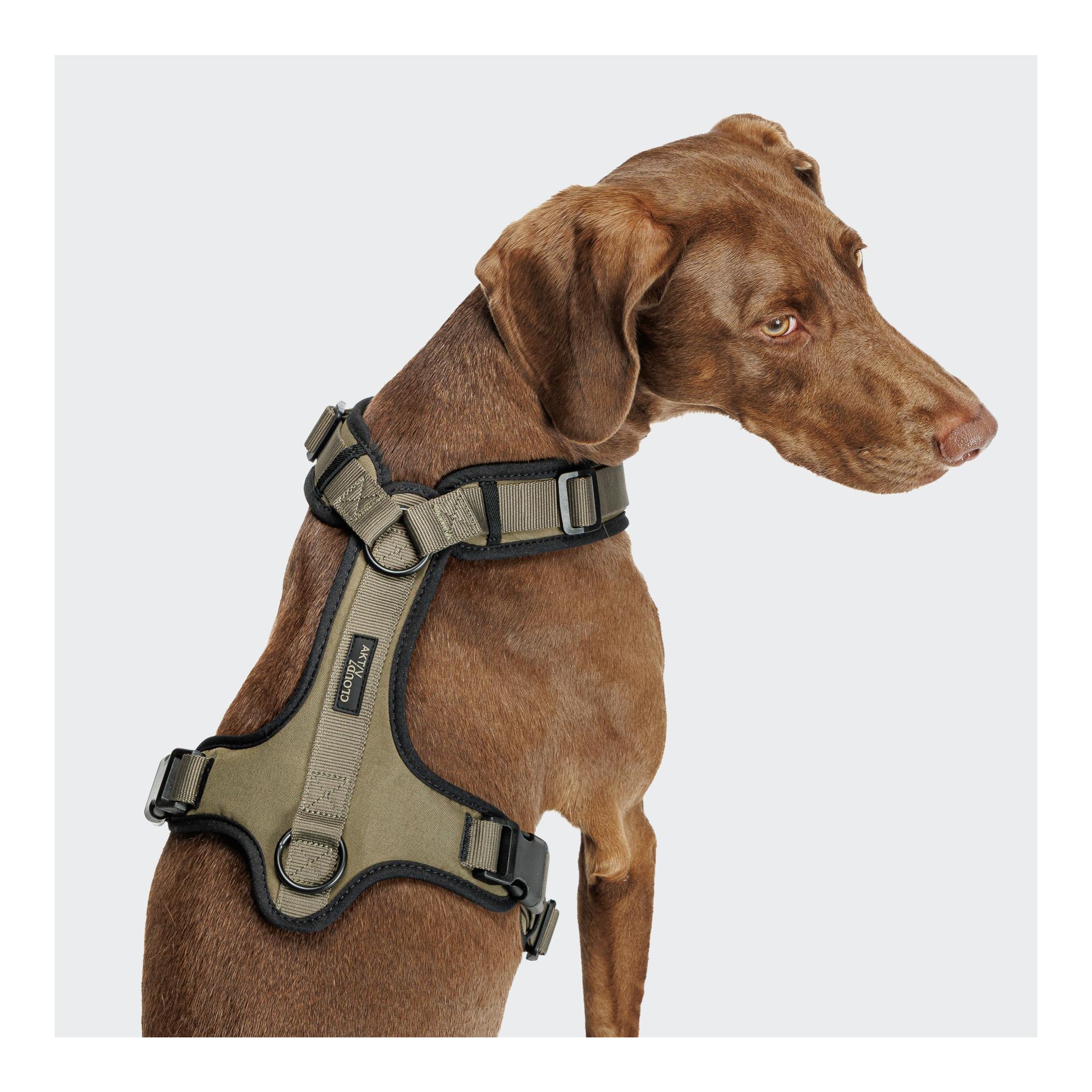 Cloud 7 Y-3-Hundegeschirr