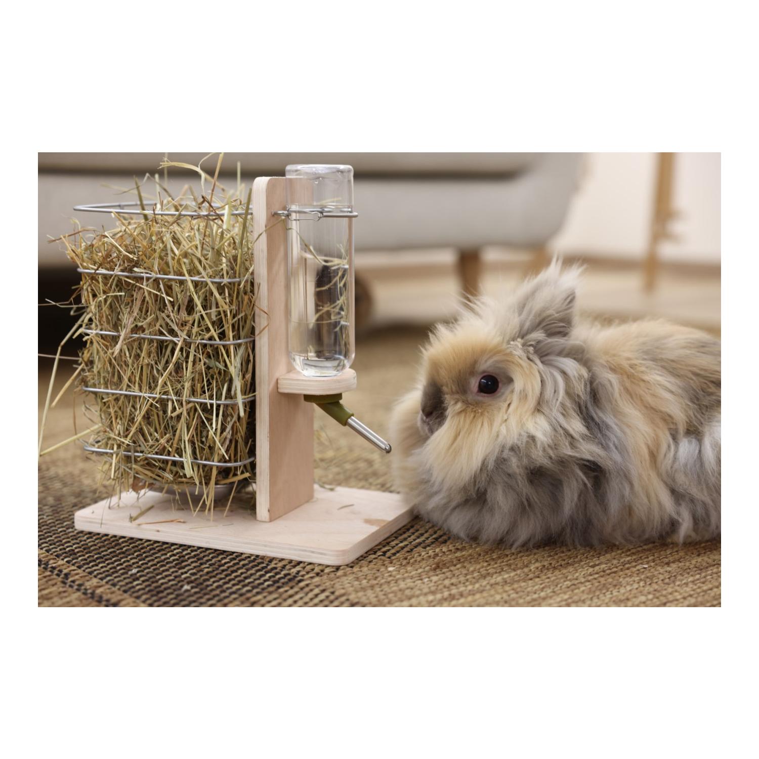 Kerbl Pet Trink- und Fressstation
