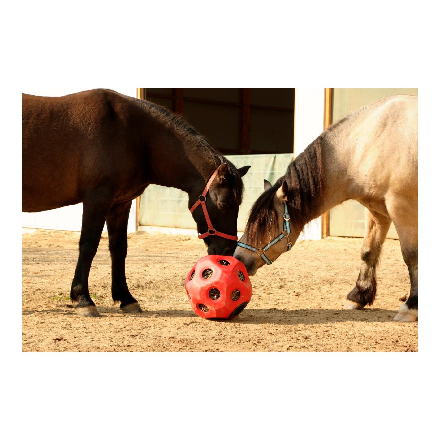 Kerbl HeuBoy Futterspielball