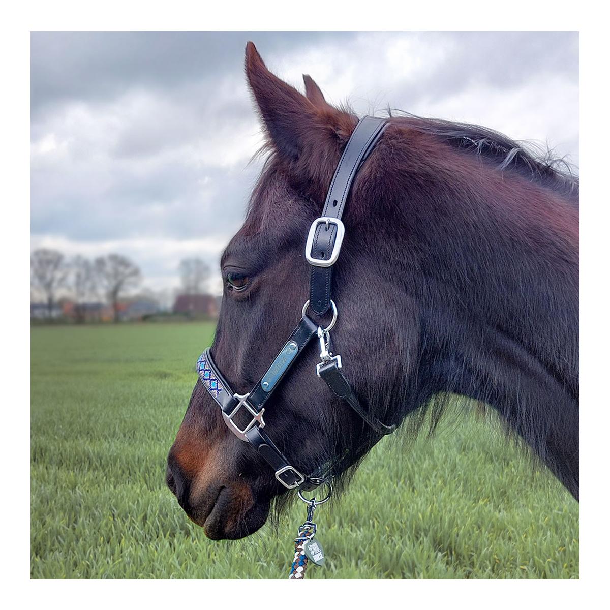Soulhorse Lederhalfter Pearls