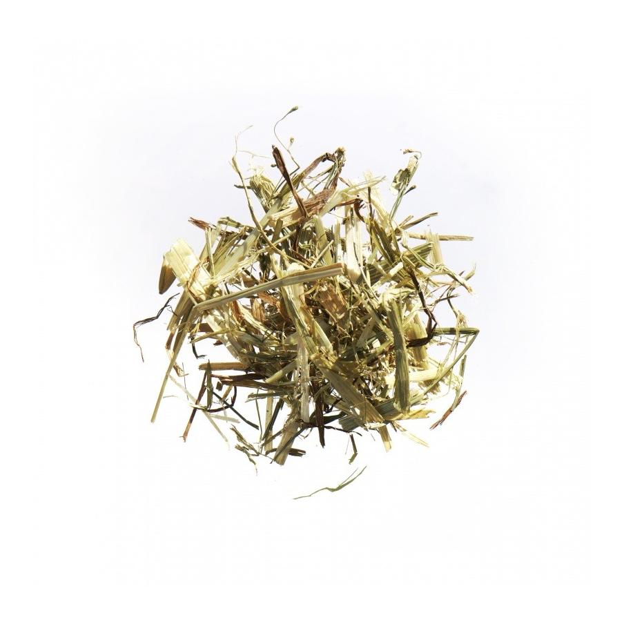 Agrobs Avoine verte