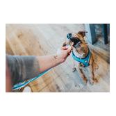 Hunter Harnais pour chien Hilo Comfort - marron