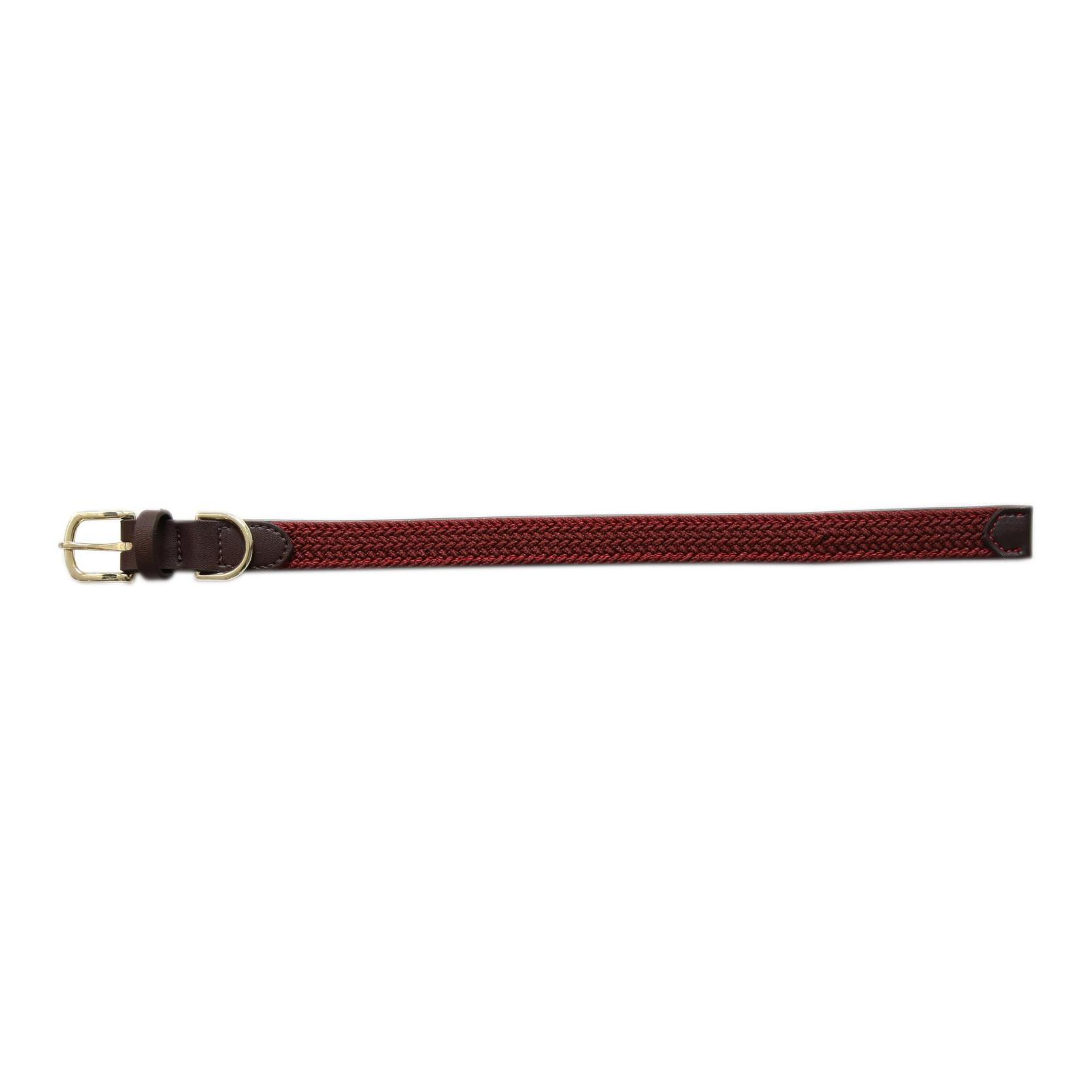Kentucky Dogwear Hundehalsband Nylon geflochten - bordeaux