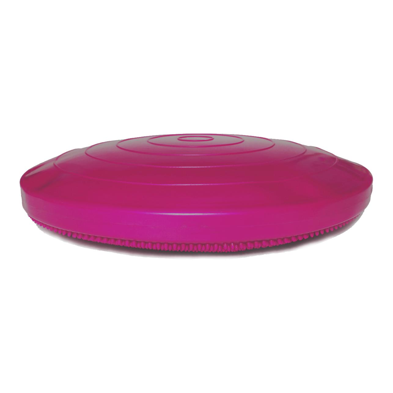 FitPaws Balance Disk
