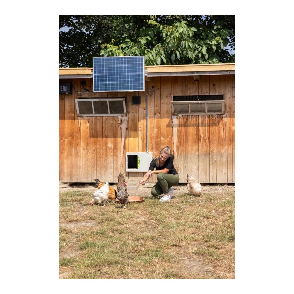 SmartCoop Solar-Set 100 W inkl. Laderegler 12V