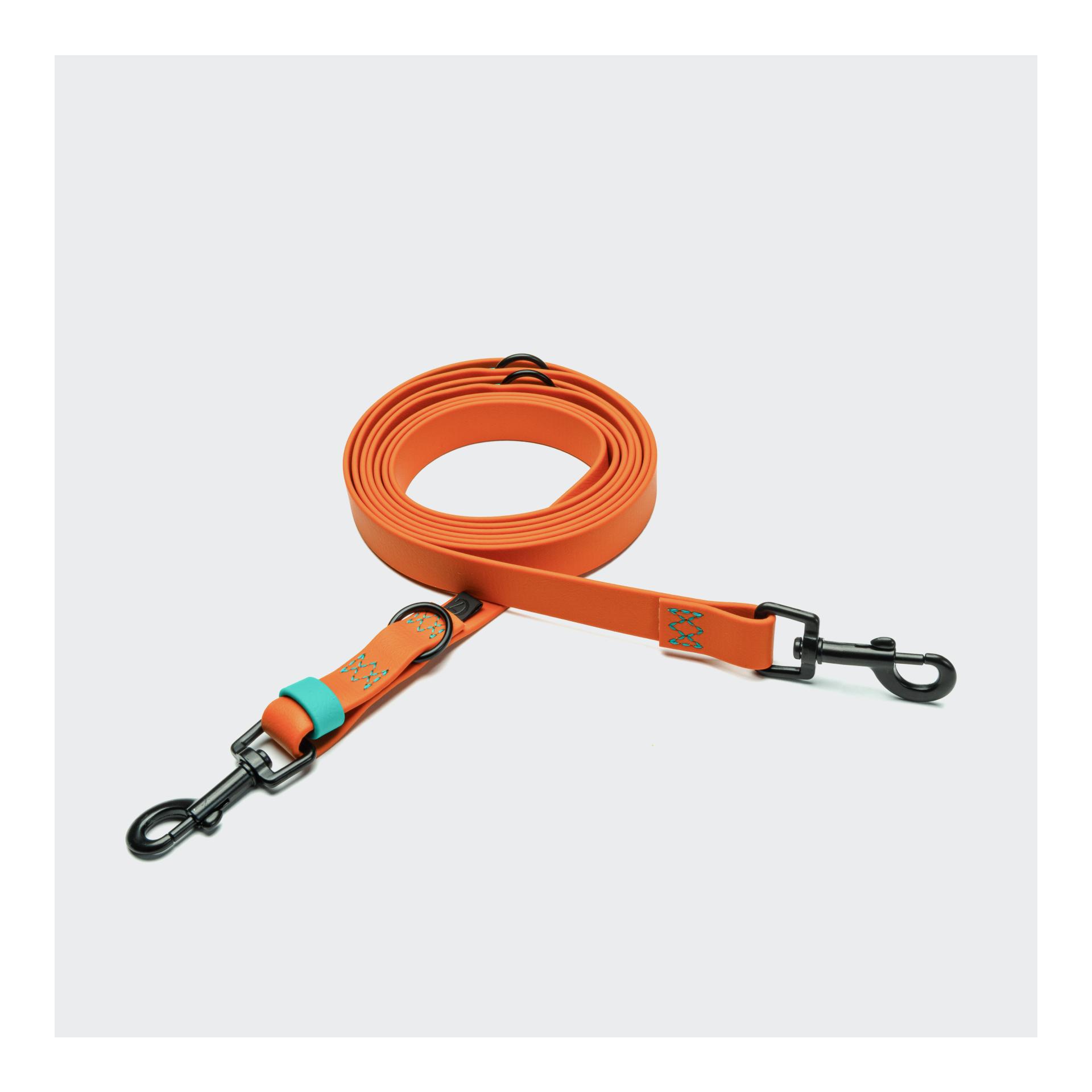Orange / Aqua