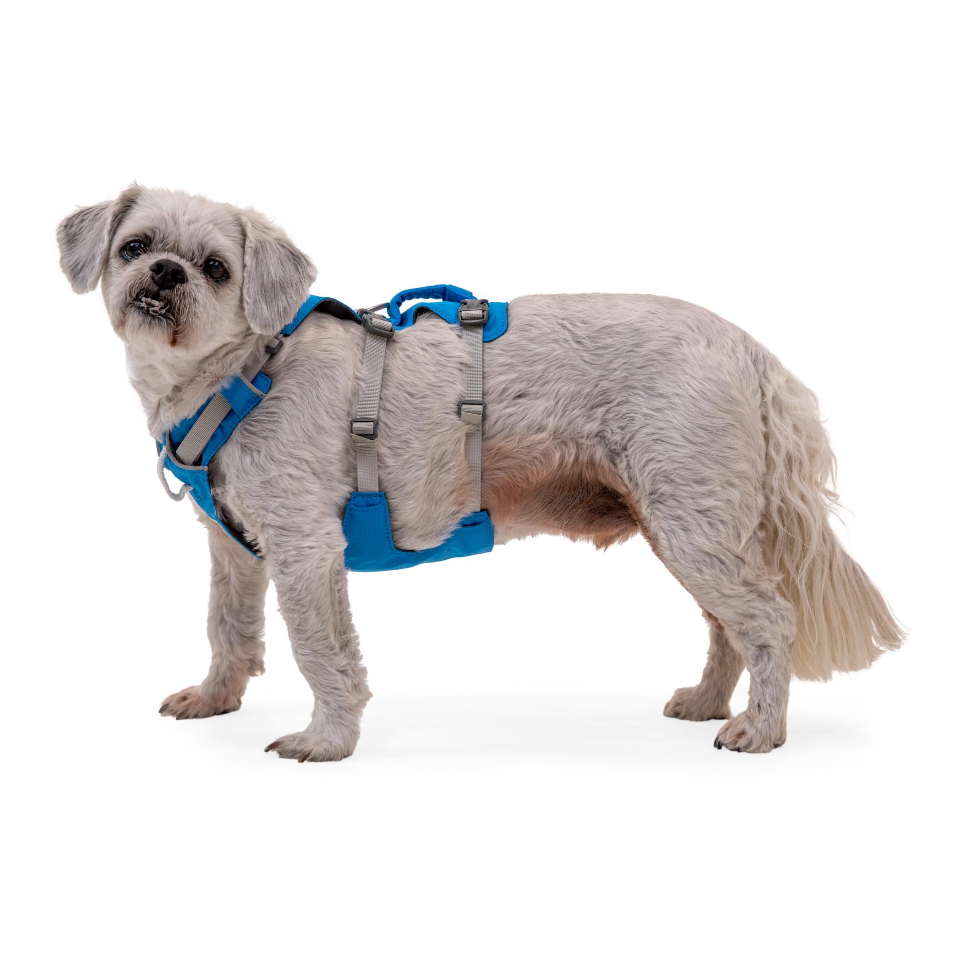 Ruffwear Harnais Flagline™