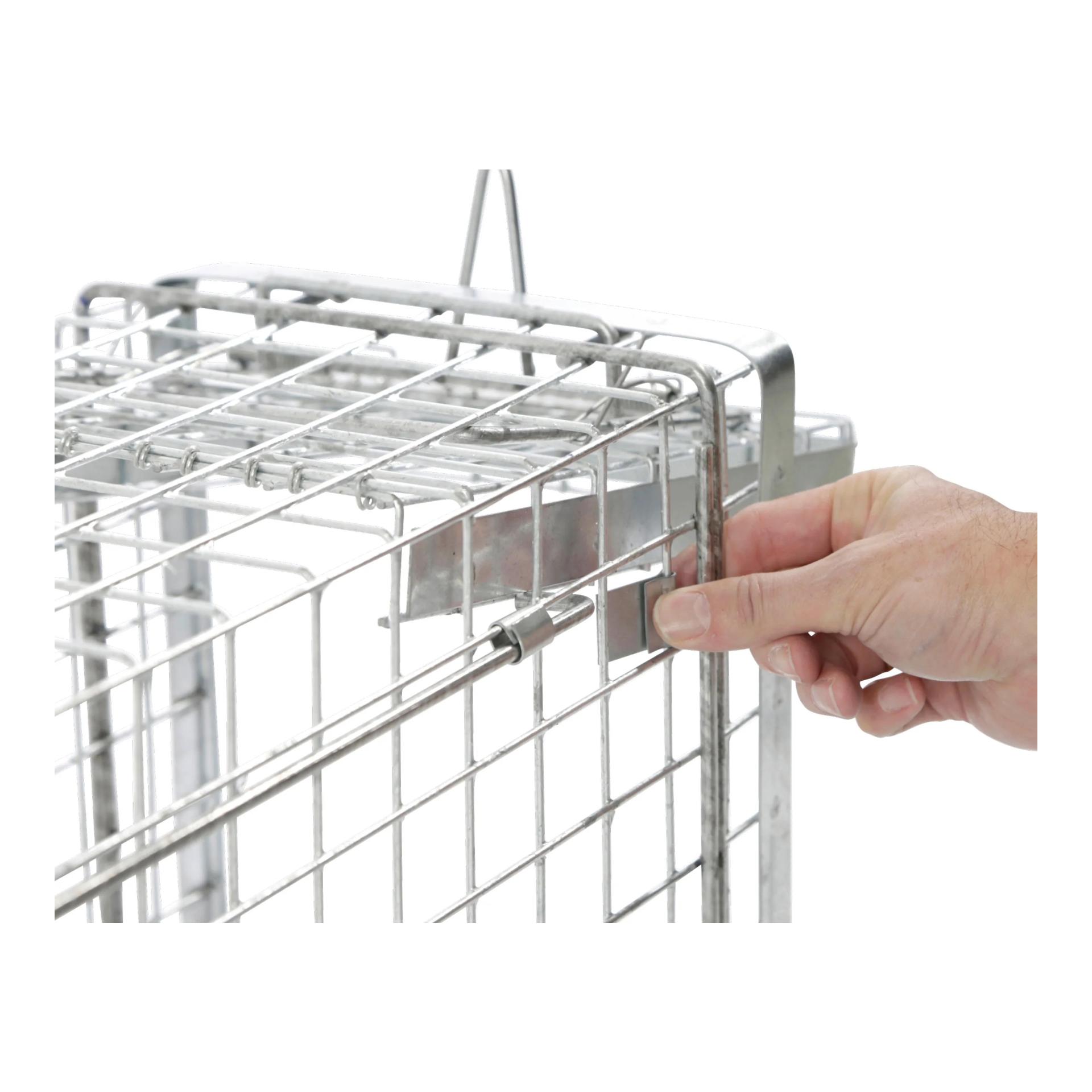 Kerbl Piège à cage Alive Predator Super