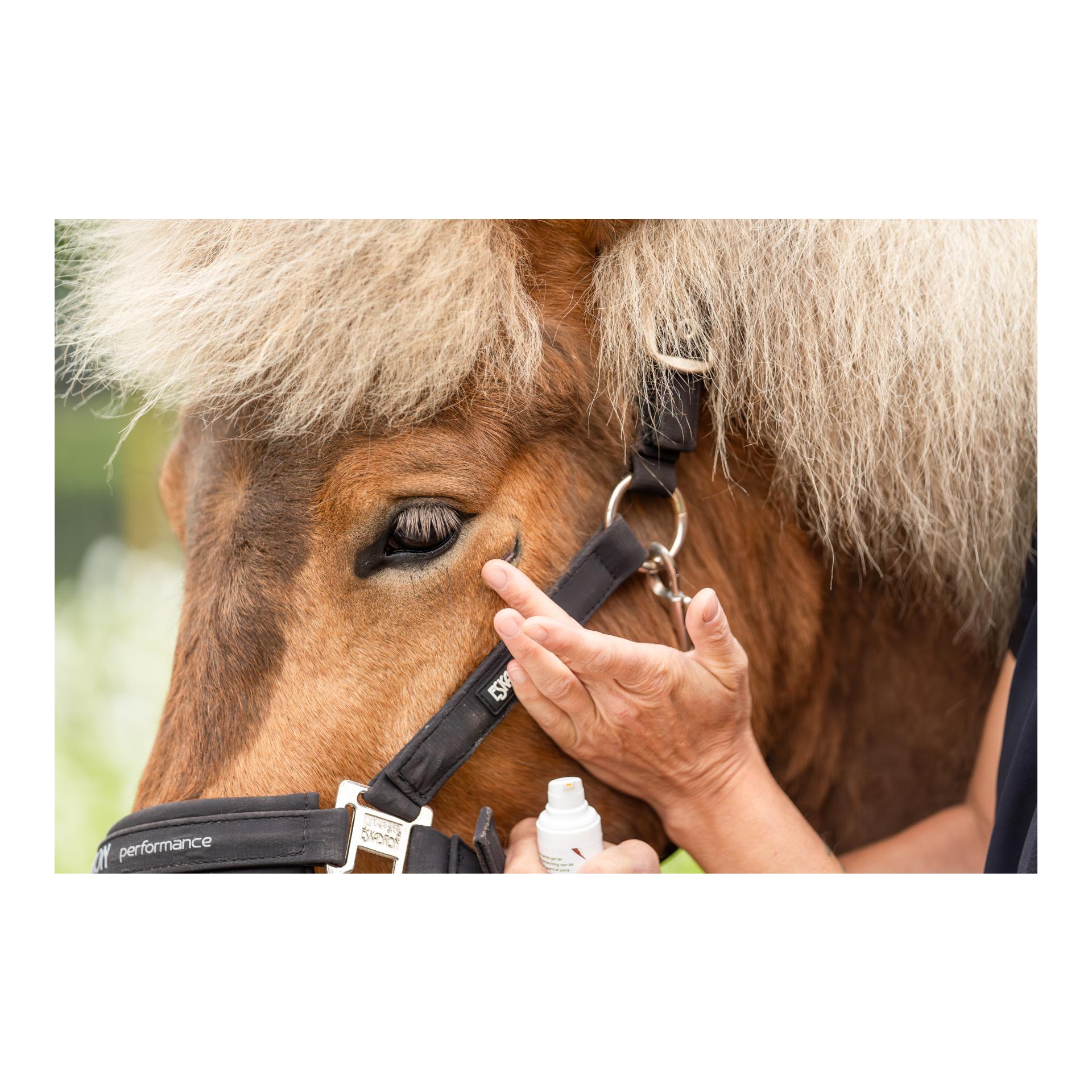 Doderm Hydro Repair Gel Horse