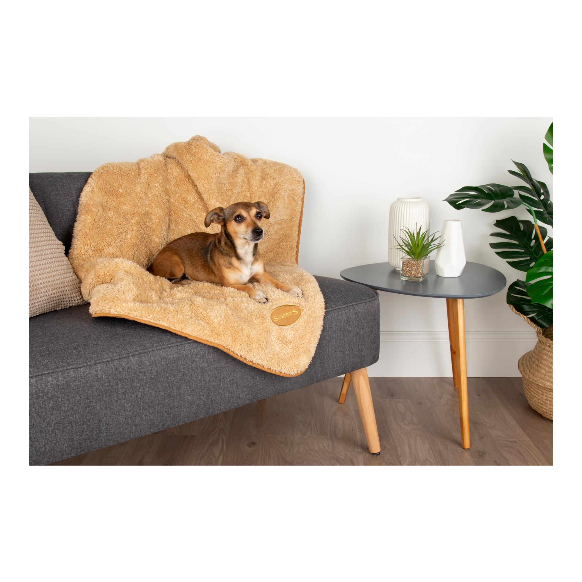Scruffs Kuscheldecke für Hunde