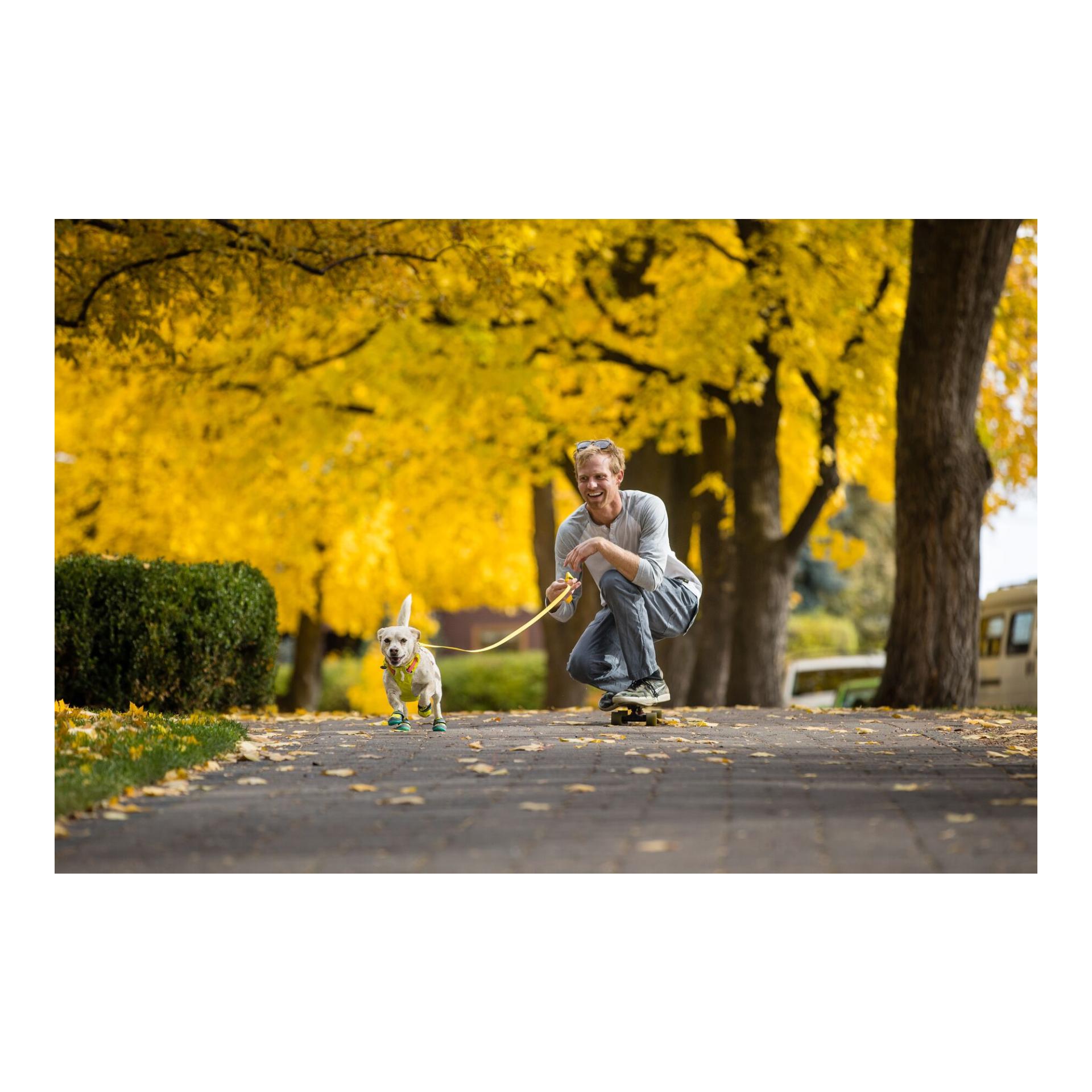 Ruffwear Flagline™ Hundegeschirr