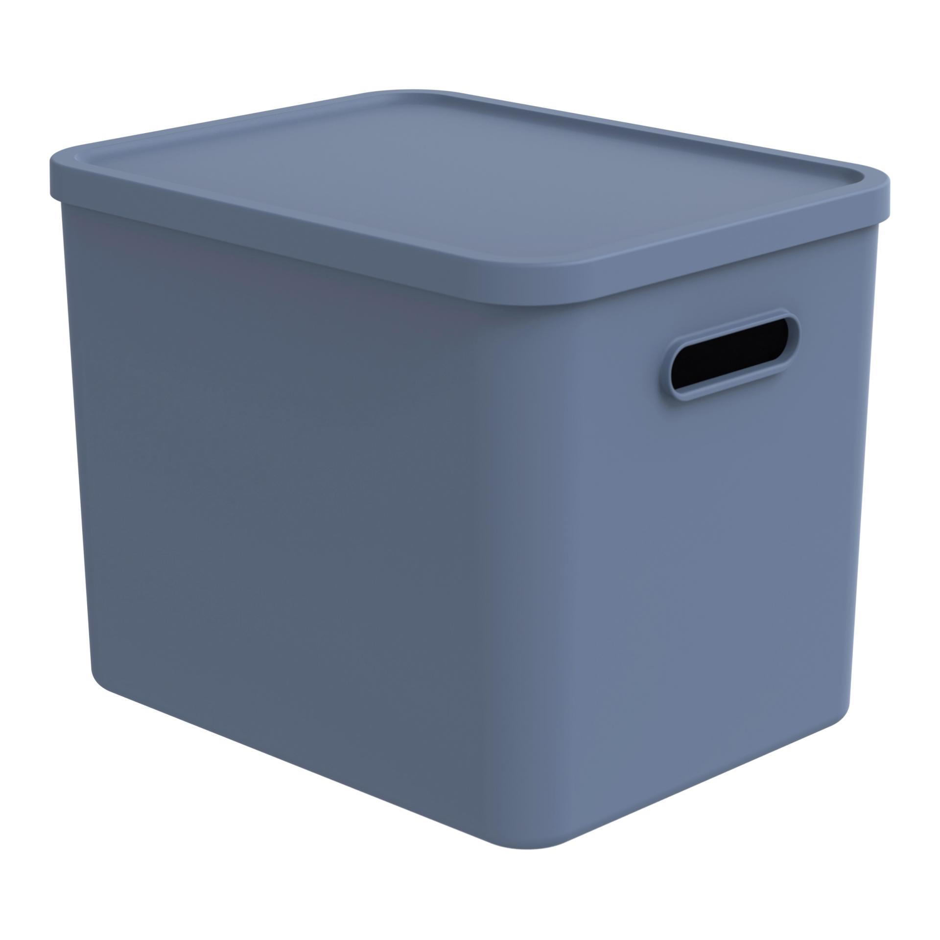 Rotho Multibox ALBULA