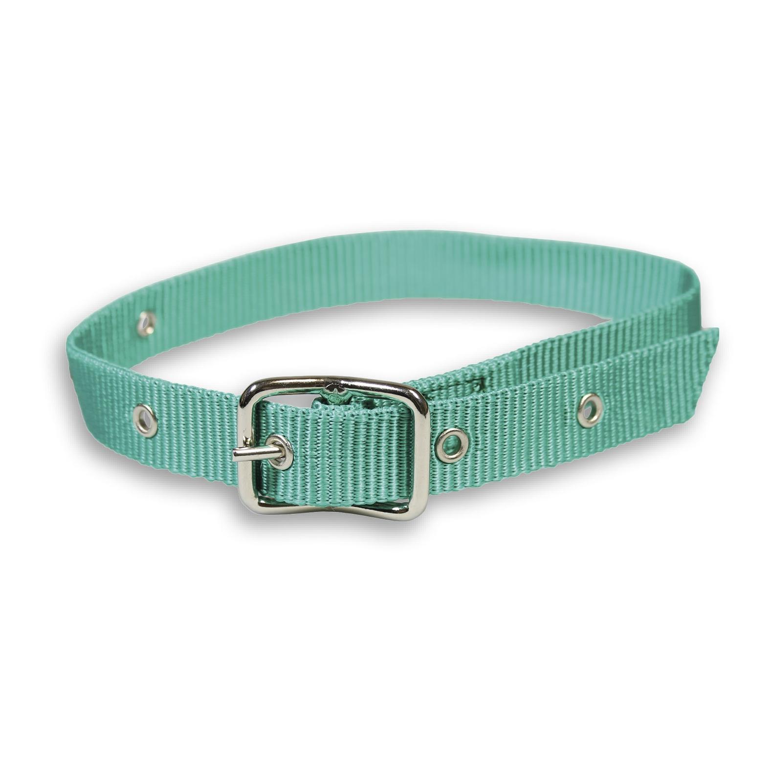 Mainer Halsband für kleine Tiere mit Dornschnalle 25 mm