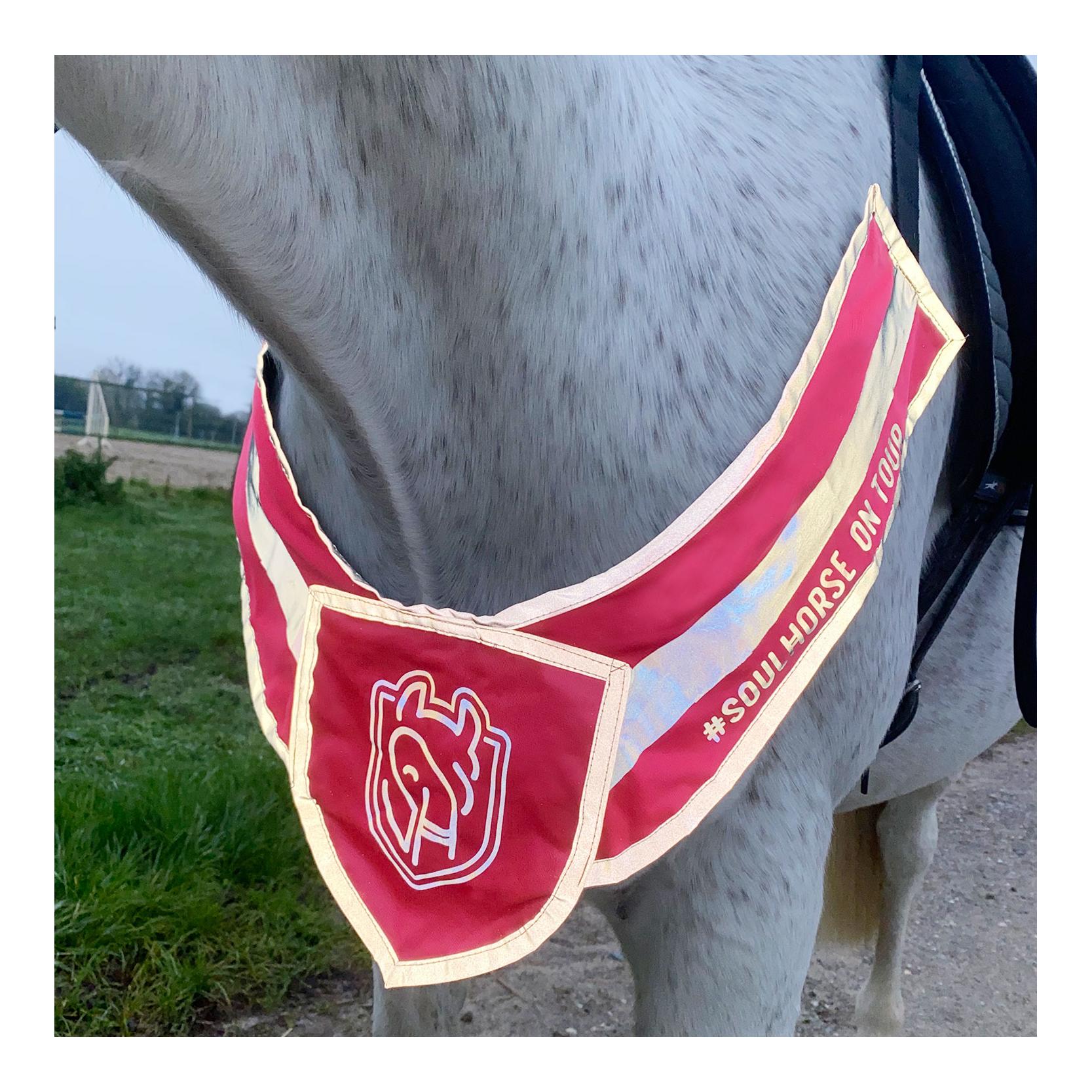 Leuchtvorderzeug