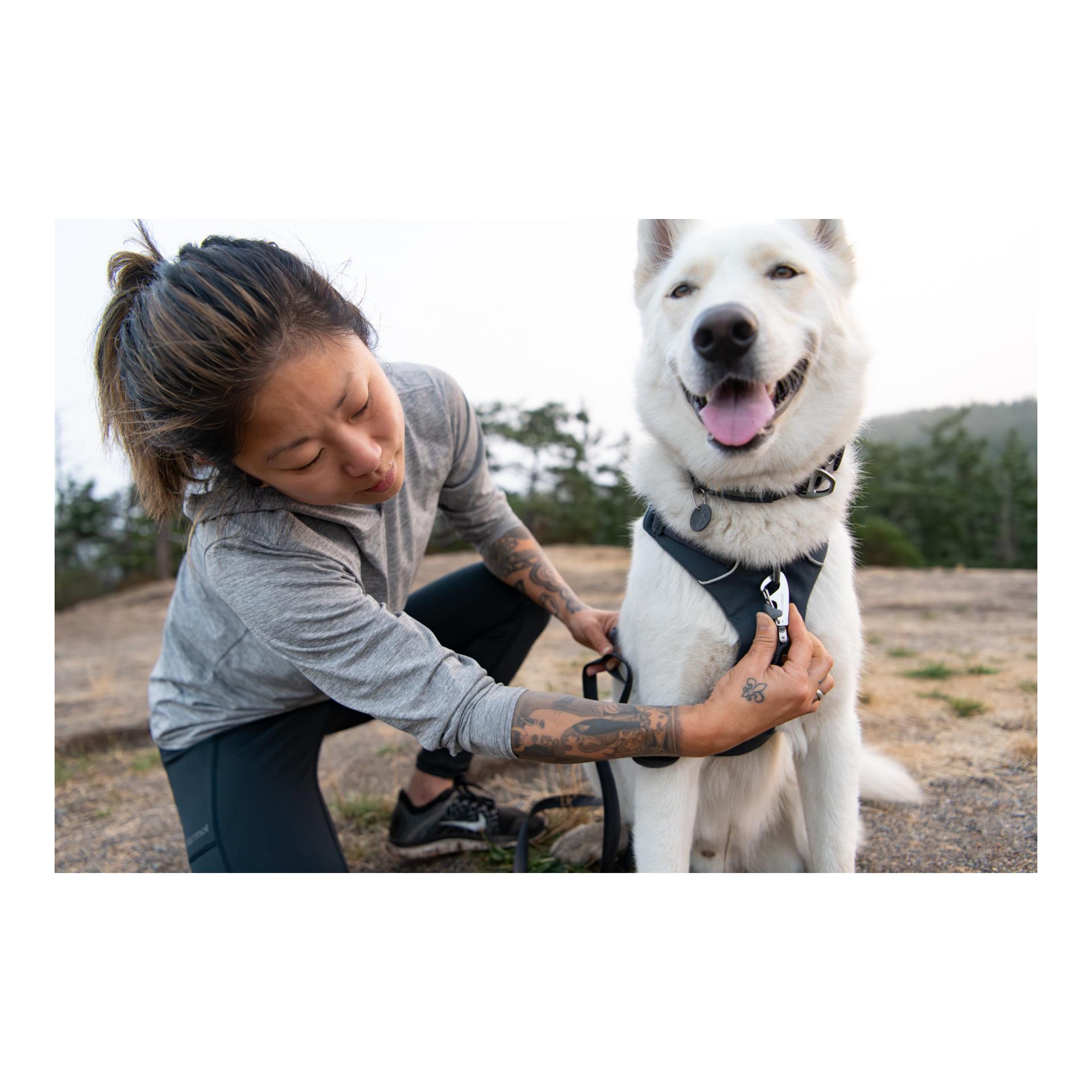 Ruffwear Front Range® Hundegeschirr