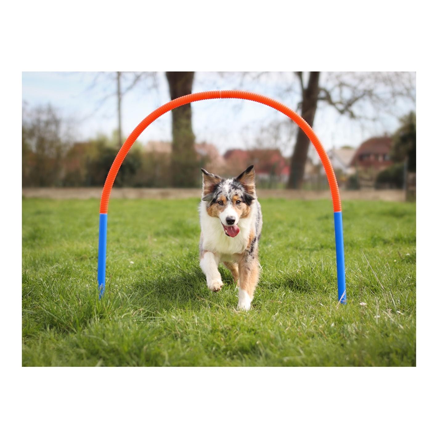Agility Agility Hooper Bogen Set