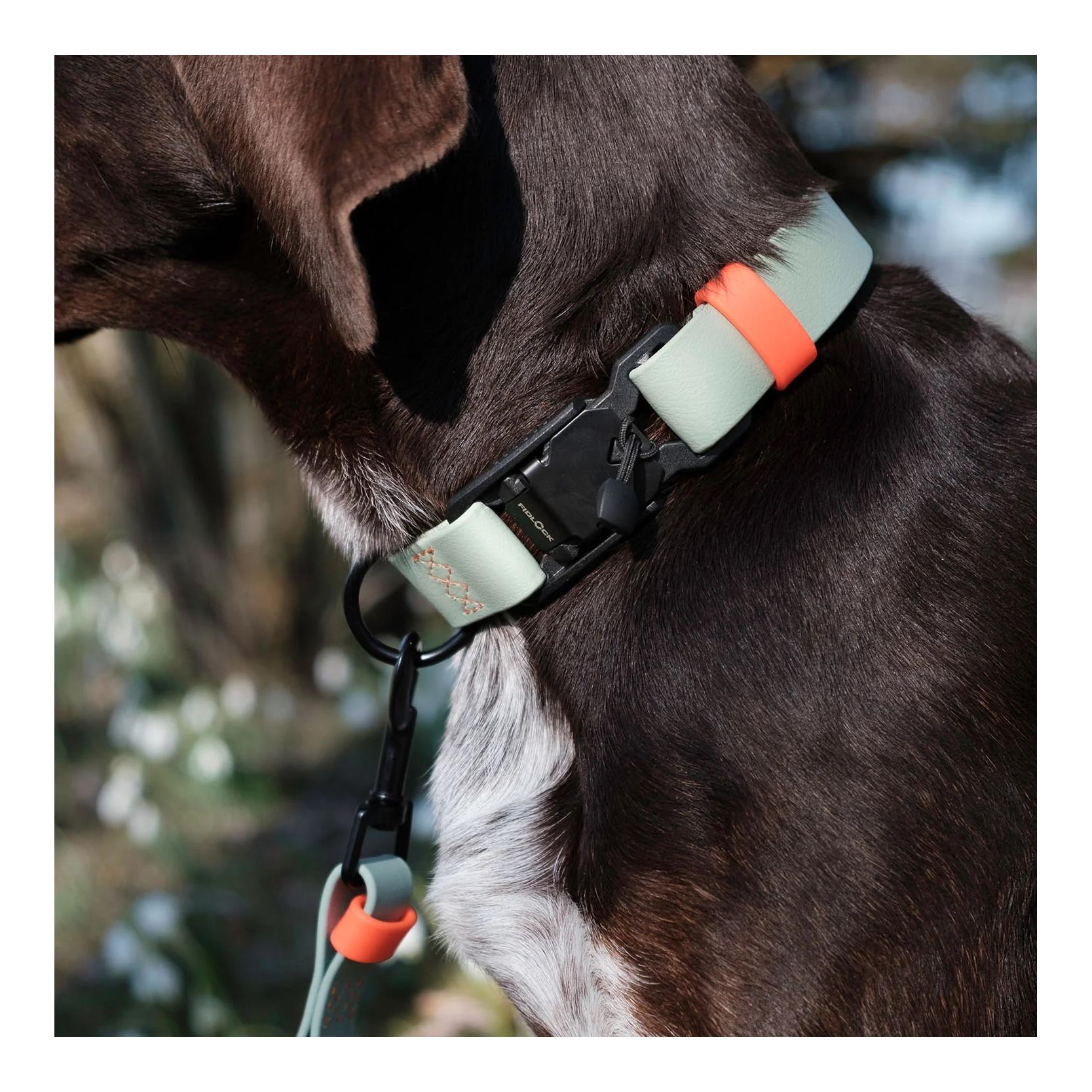 Cloud 7 Hundehalsband BioThane Ipanema
