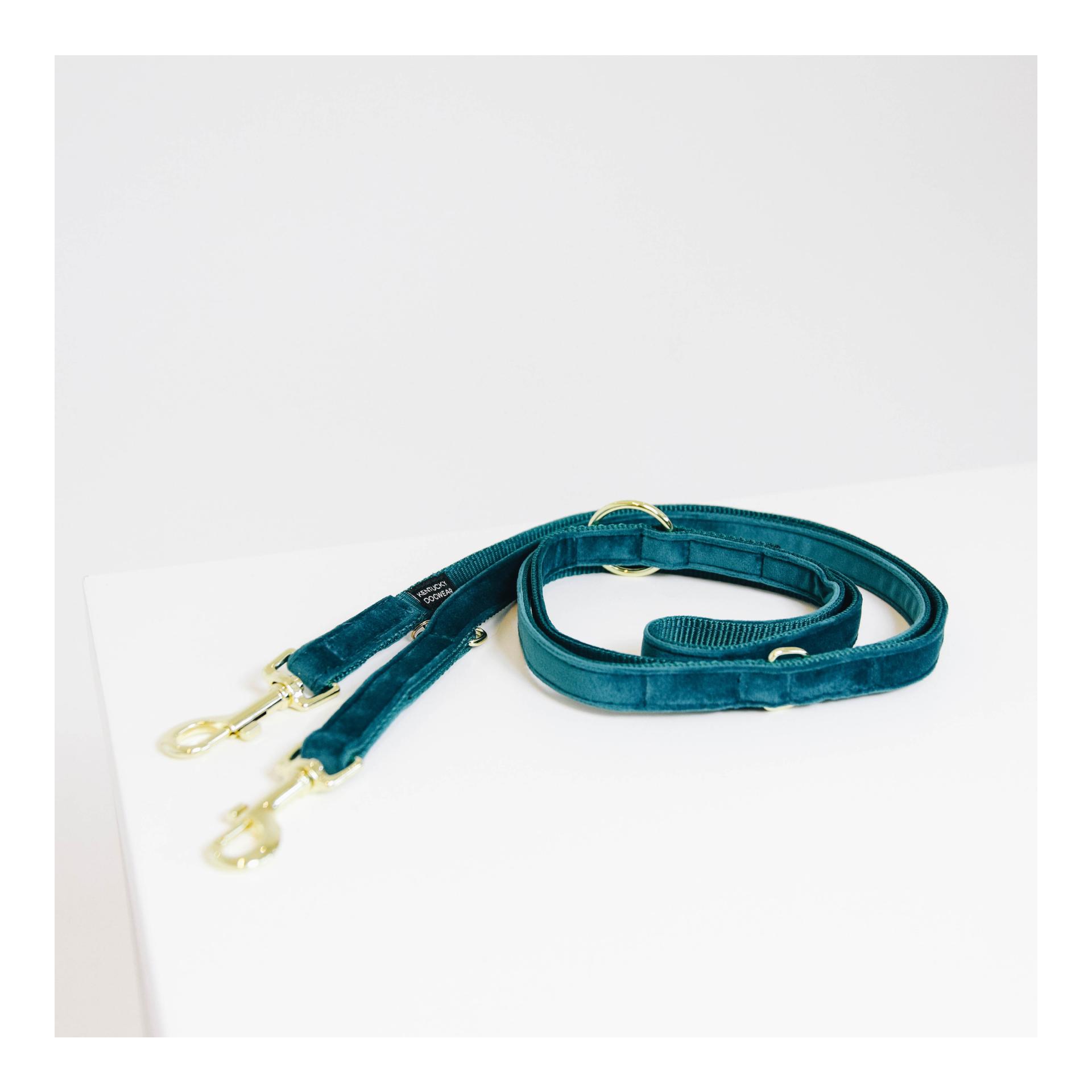 Kentucky Dogwear Laisse pour chien Velvet - emerald