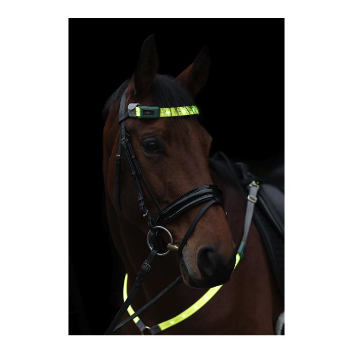 Covalliero Stirnriemen LED